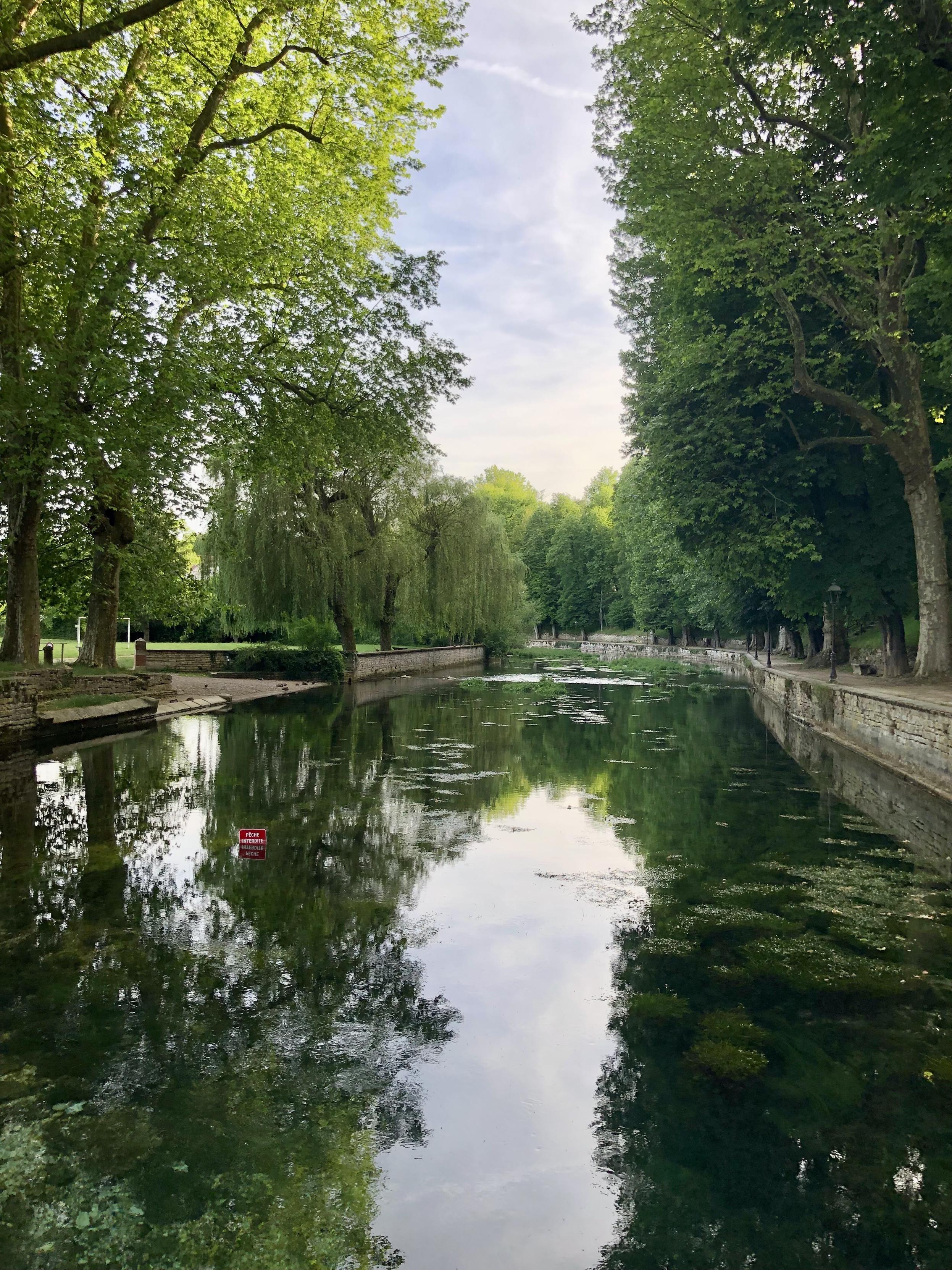 Ein links und rechts baumbestandener glasklarer Flusslauf.