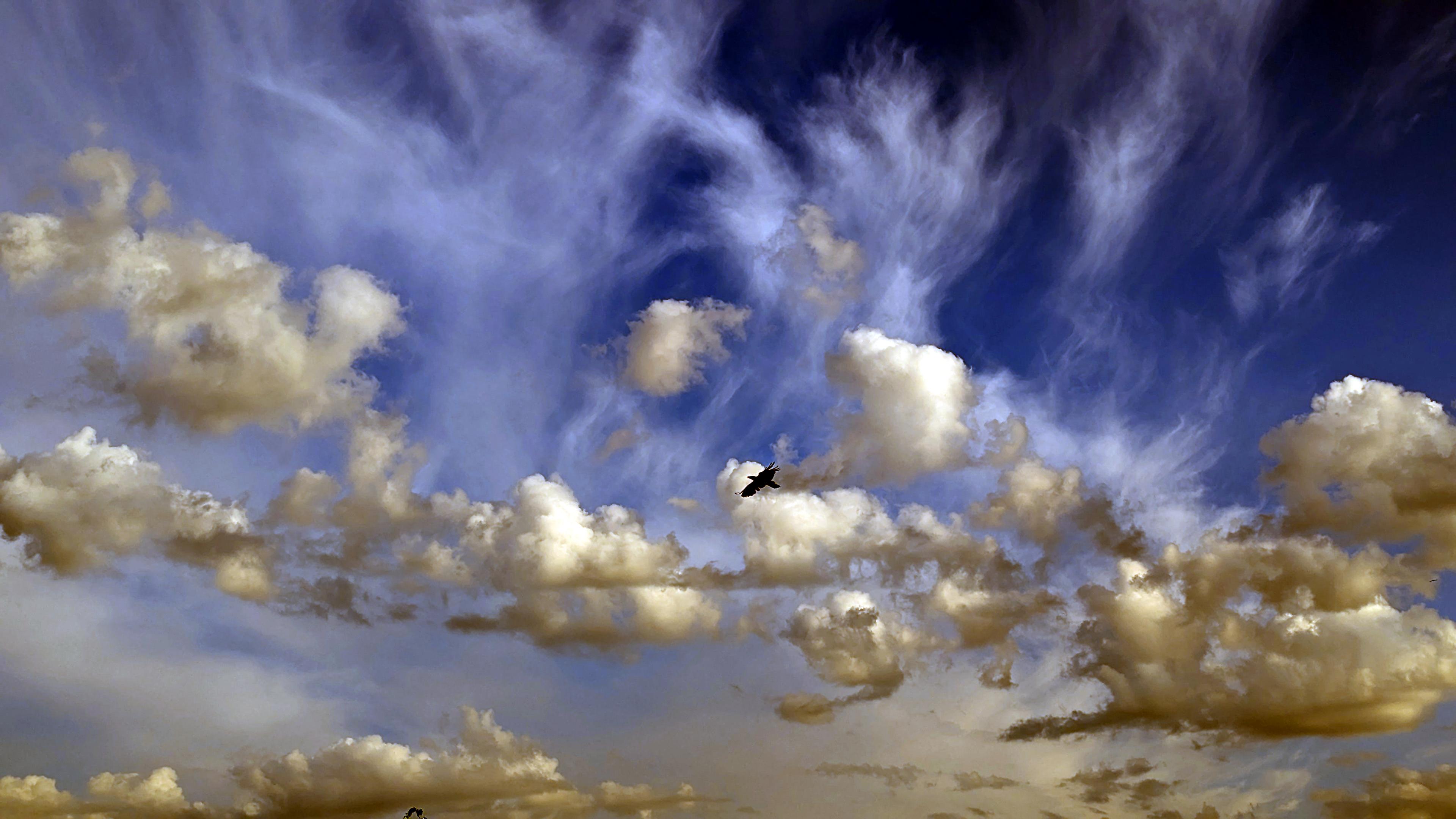 Das Bild zeigt einen blauen Himmel mit zerfaserten Schleierwolken und kleinen Schönwetter-Wölkchen darunter. In der Bildmitte die Silhouette einer fliegenden Krähe.
Die Kontraste wurden stark angehoben.