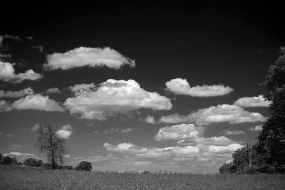 Schwarzweiß Foto von grau-weißen Wolken am Himmel und Wiese im Vordergrund 