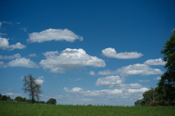 weiße Wolken vor blauem Himmel und grüner Wiese 