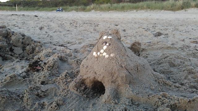 Abendlicht am Sandstrand beleuchtet einen Sandhaufen, dem Kinder mit weißen Steinen ein Augenpaar und eine Katzennase aufgestezt haben. Unten in dem ca. 50 cm hohen und 60 cm breiten Sandhaufen ist von vorne ein handhoher Tunnel gegraben. Im Hintergrund des Bildes grüner Strandhafer, der Sand des Strandes ist von Fußabdrücken aufgewühlt, es sitzen zwei Menschen auf einer Bank.