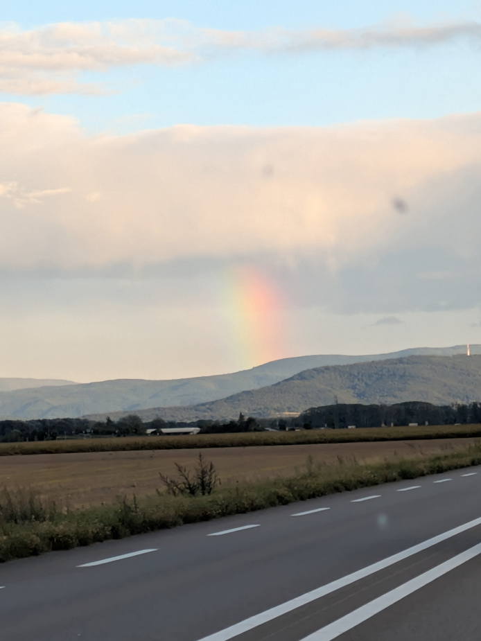 A photograph. A rainbow, with a road running through Alsace in the foreground 

Ein Foto. Ein Regenbogen, davor eine Straße durch das Elsass