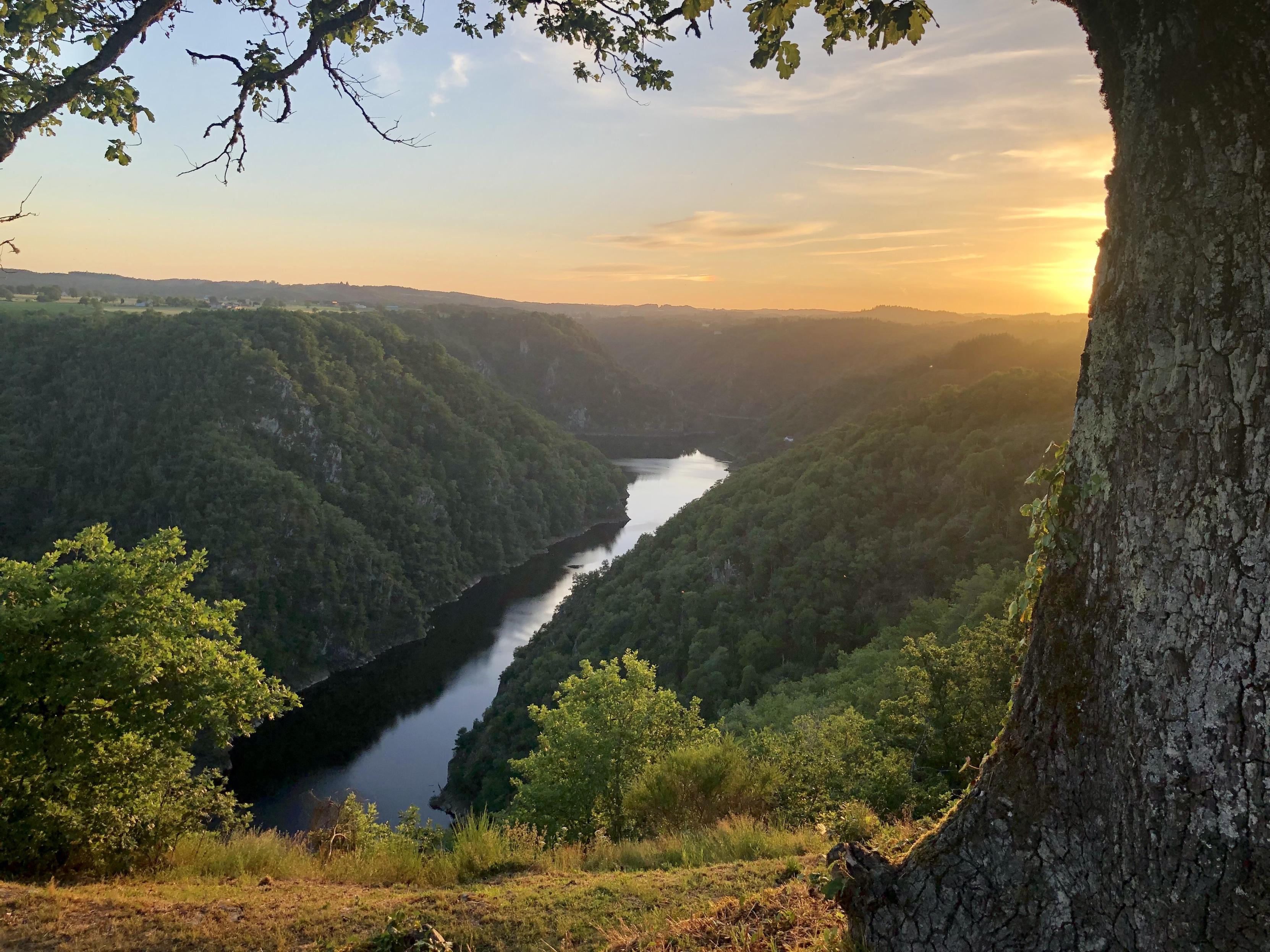 Sonnenuntergang mit Blick auf die Dordogne umgeben von Felsen. Am rechten Bildrand ragt ein Baum in die Szene