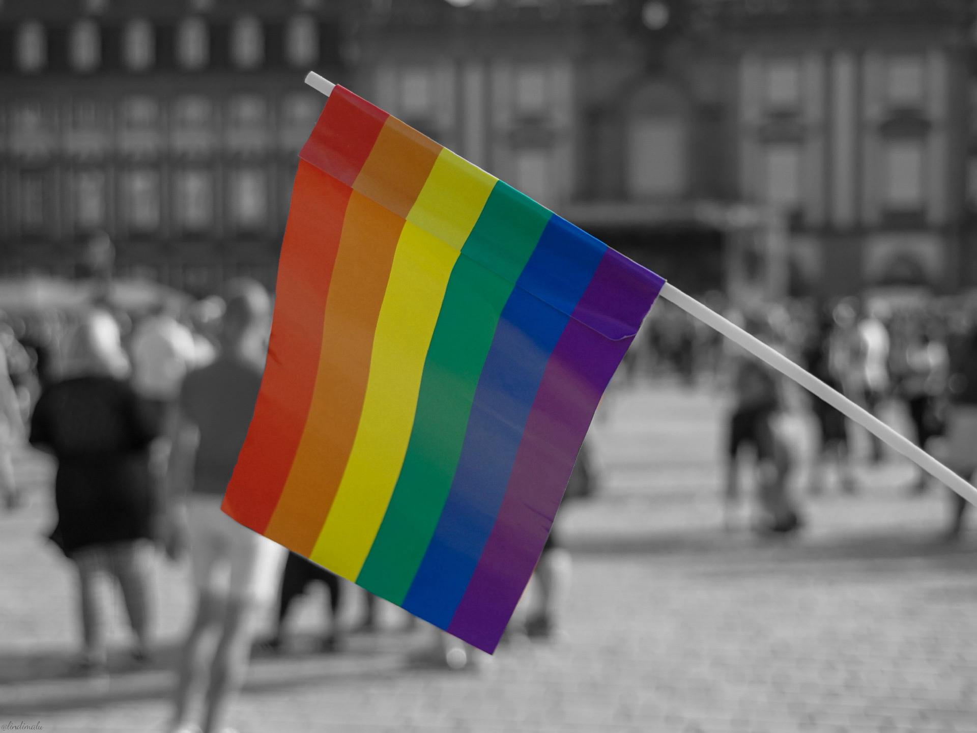 Eine Regenbogenflagge, dahinter das Mannheimer Schloss und die Teilnehmer des CSD.