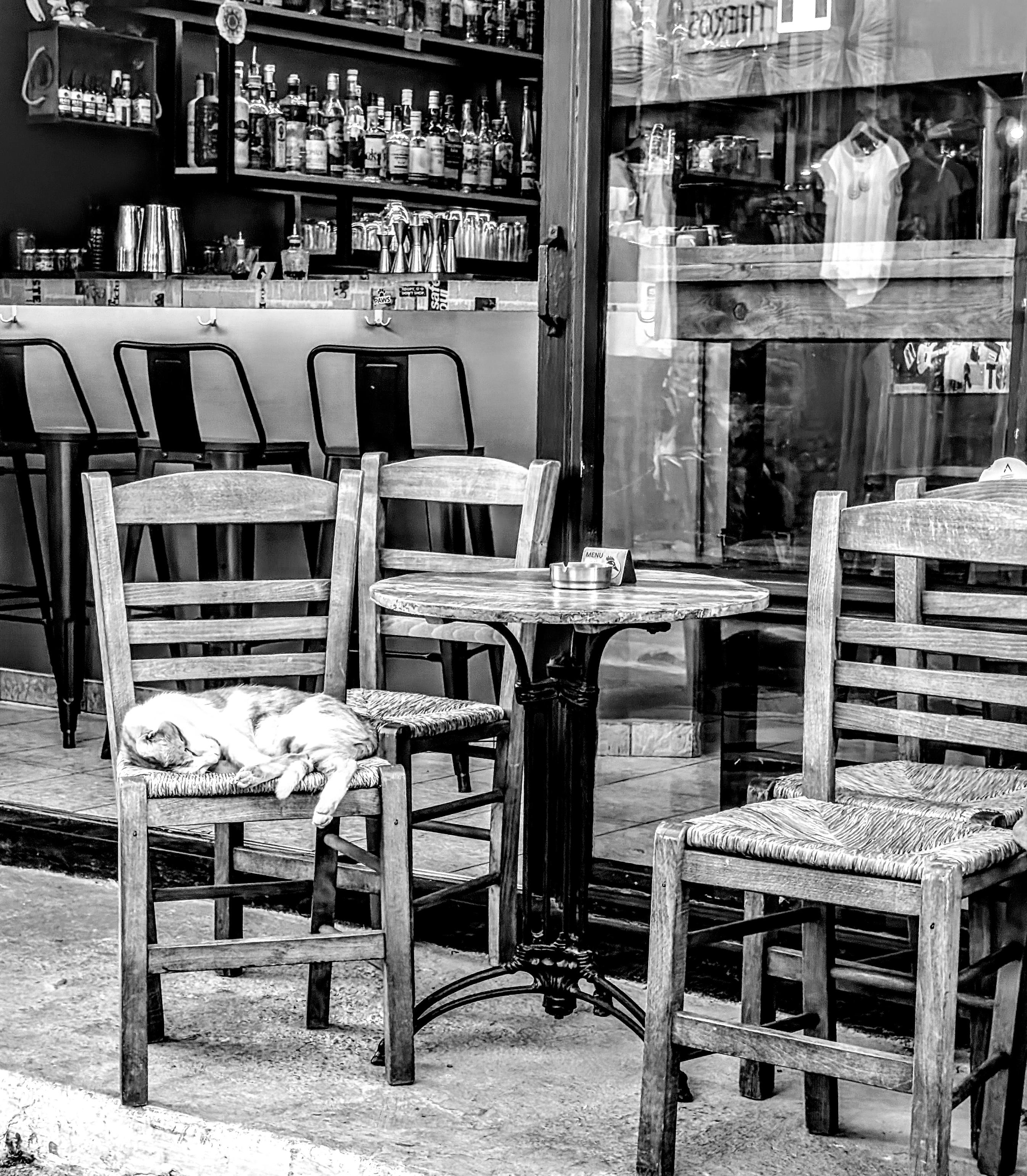 Foto in Schwarzweiß. Eine Bar am Mittelmeer von der anderen Straßenseite aus gesehen. Drei kleine Stühle um einen kleinen Tisch stehen vor der Bar im Freien. Auf einem schläft zusammengerollt eine Katze. Im Hintergrund ist die offene Tür der Bar zu sehen, der Tresen und dahinter die Flaschen mit Alkoholika.