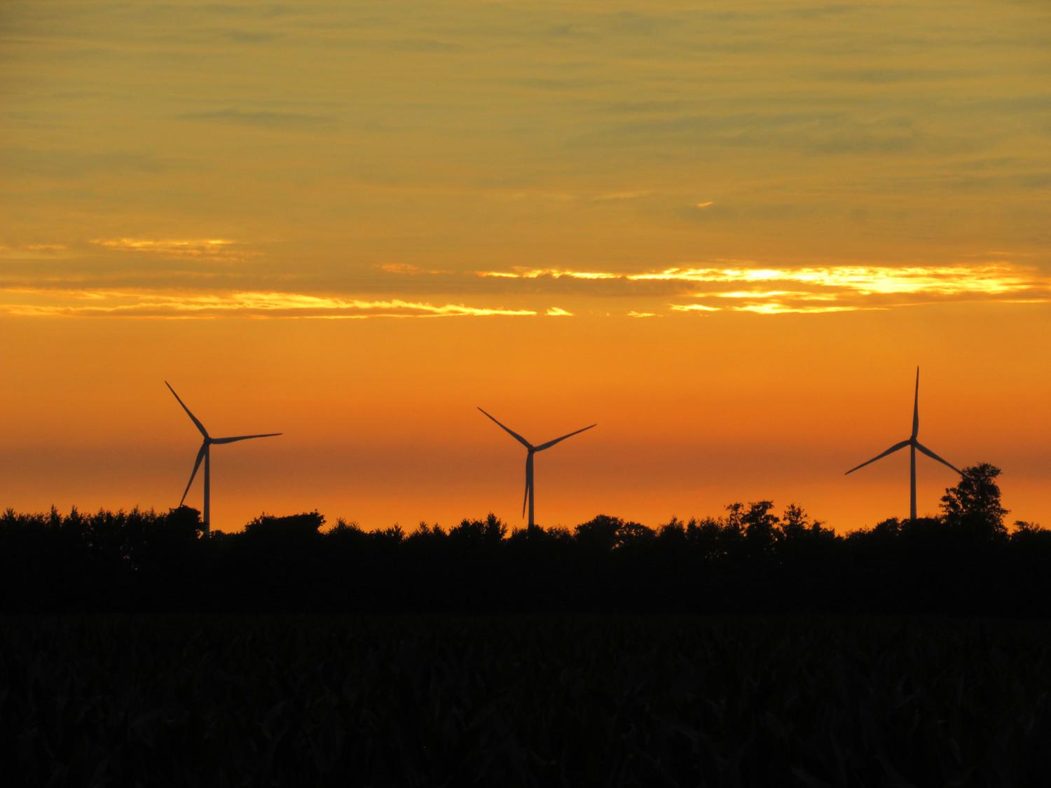 Sonnenuntergang hinter drei Windrädern, Silhouetten von Bäumen, der Himmel ist orange gefärbt.