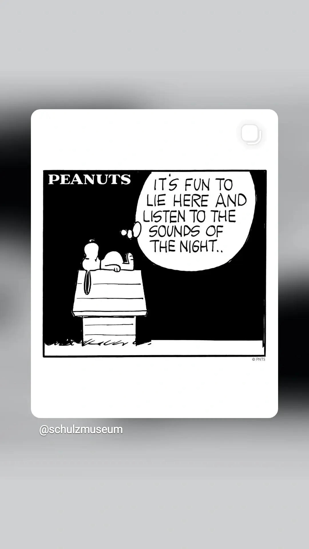 Snoopy auf der Hütte: it's fun to lie here and listen to the sounds of the night...
(schwarzweiß Bild)