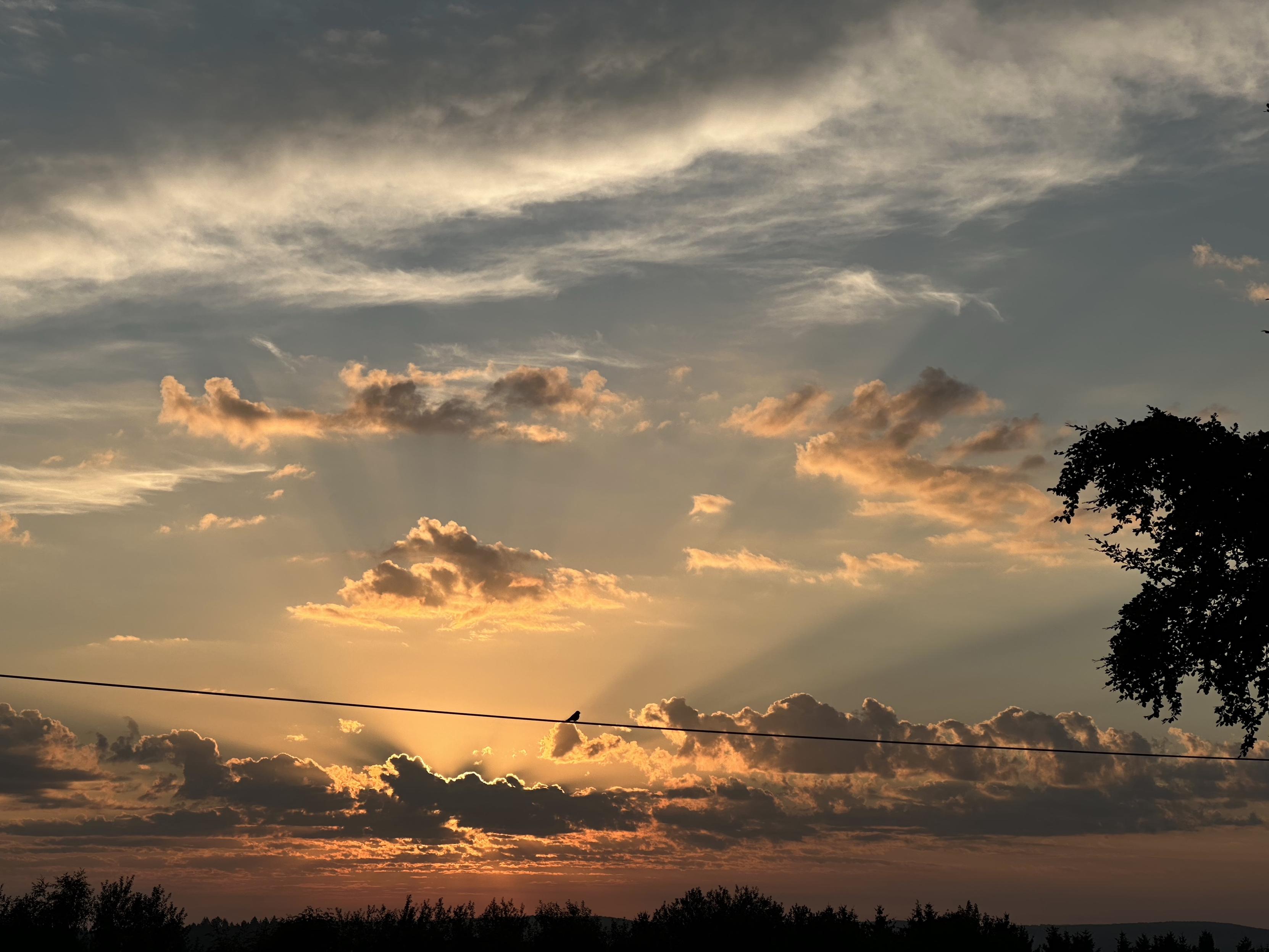 Sonnenaufgang mit schönen Lichtreflexen