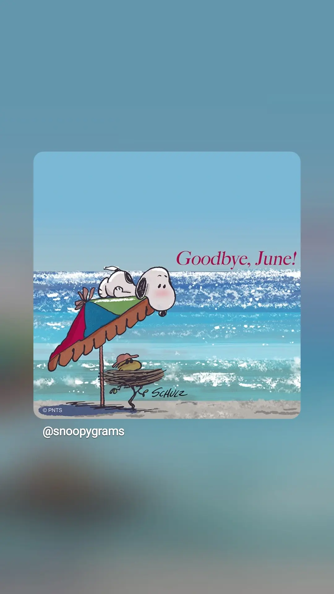 Snoopy und Woodstock am Strand vor türkisem Meer. Die Sonne glitzert auf den Wellen. Woodstock liegt mit orangem Basecap und Sonnenbrille in einem kleinen Nest unter einem bunten Sonnenschirm, auf dem Schirm liegt bäuchlings Snoopy und schaut herunter zu Woodstock.
Text: goodbye June!