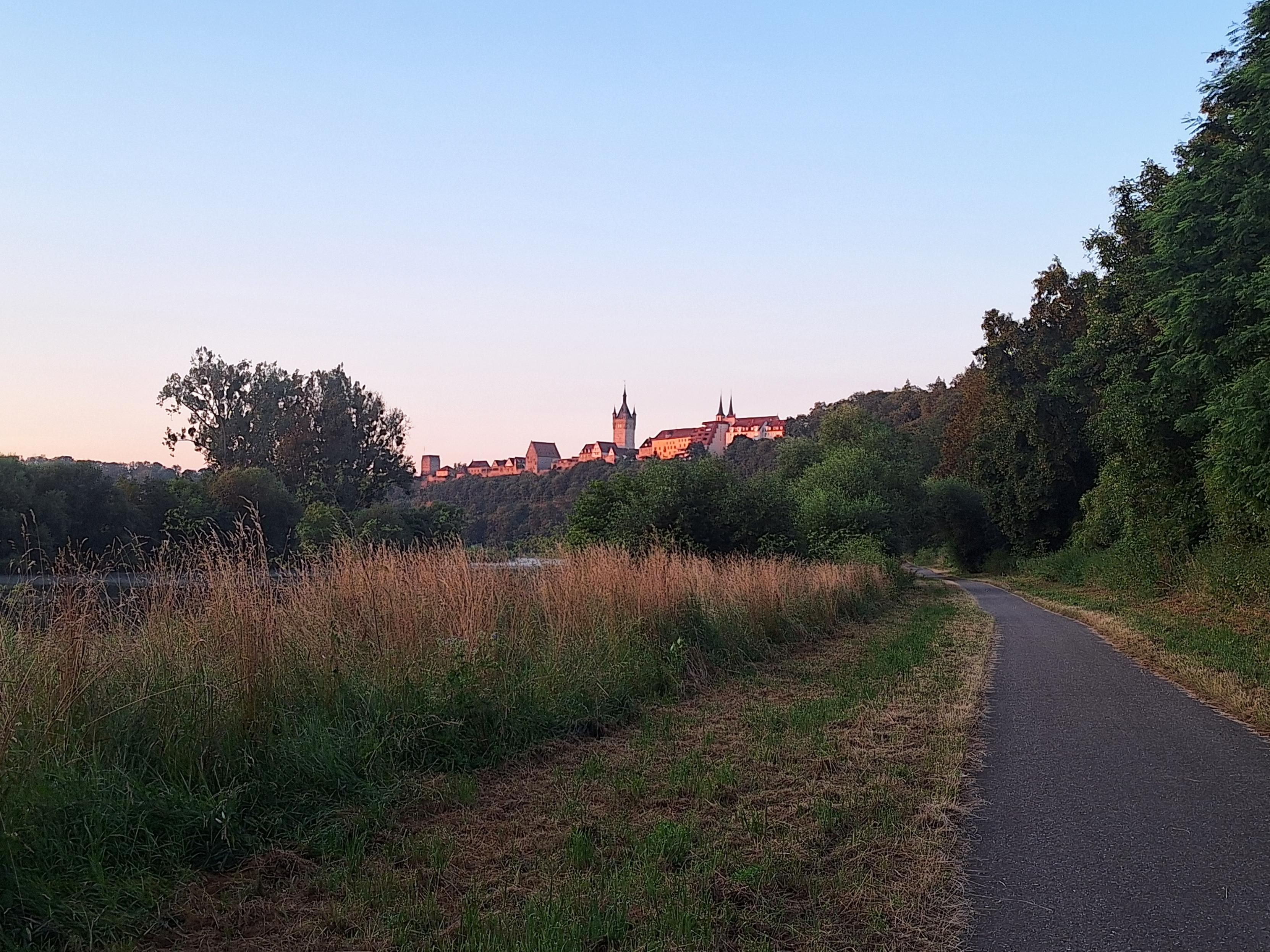 Ein Radweg in der MOrgendämmerung. Rechts und links Gründ und braune Gräser. Im Hintergrund das hoch oben liegende Stadtbild von Bad Wimpfen.