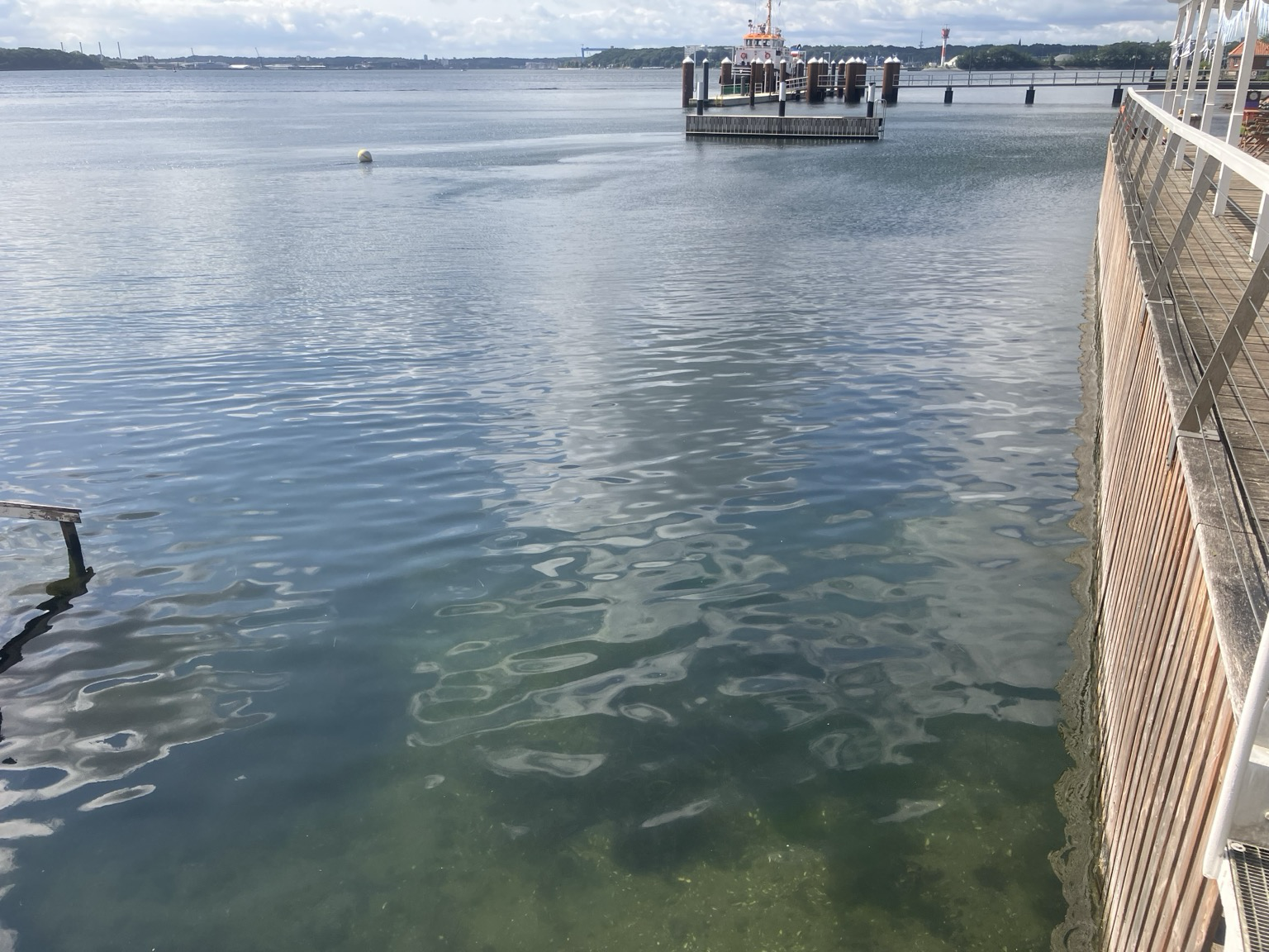 Blick vom Steg auf den Badebereich