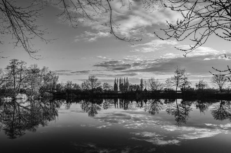 Man sieht eine ruhige Seenlandschaft. Man schaut auf das gegenüber liegende Ufer wo sich Bäume und Sträucher sich auf der ruhigen Wasseroberfläche spiegeln. Am oberen Bildrand sieht man Äste die eine Art von Rahmen bilden.