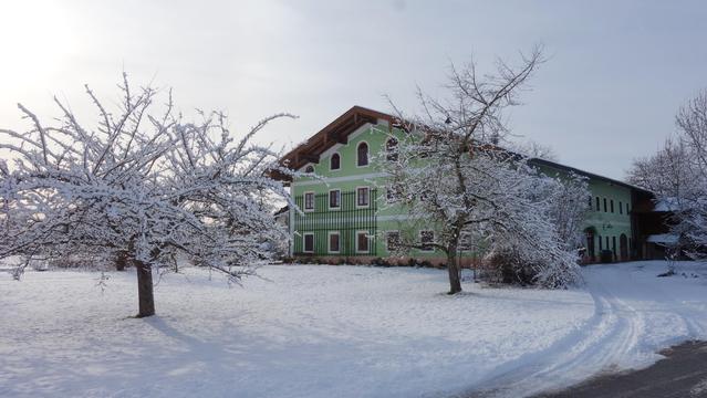 Bauernhaus mit integrierten Stall und Scheune, sichtbar ist die Stirnseite, die in lindgrün gestrichen ist. Die Fenstereihen im Erdgeschoß, ersten Stock und den Giebelfenstern haben einen weißen Rahmen. Die sechs Giebelfenster haben oben Rundbögen. Das Bild ist im Winter aufgenommen, es liegt ca 10 cm Schnee auf der Wiese vor dem Bauernhaus und zwei Obstbäume recken ihre schwarzen Äste in den graublauen Himmel. Die Sonne kämpft sich mit Abendlicht schwach durch die Wolken.