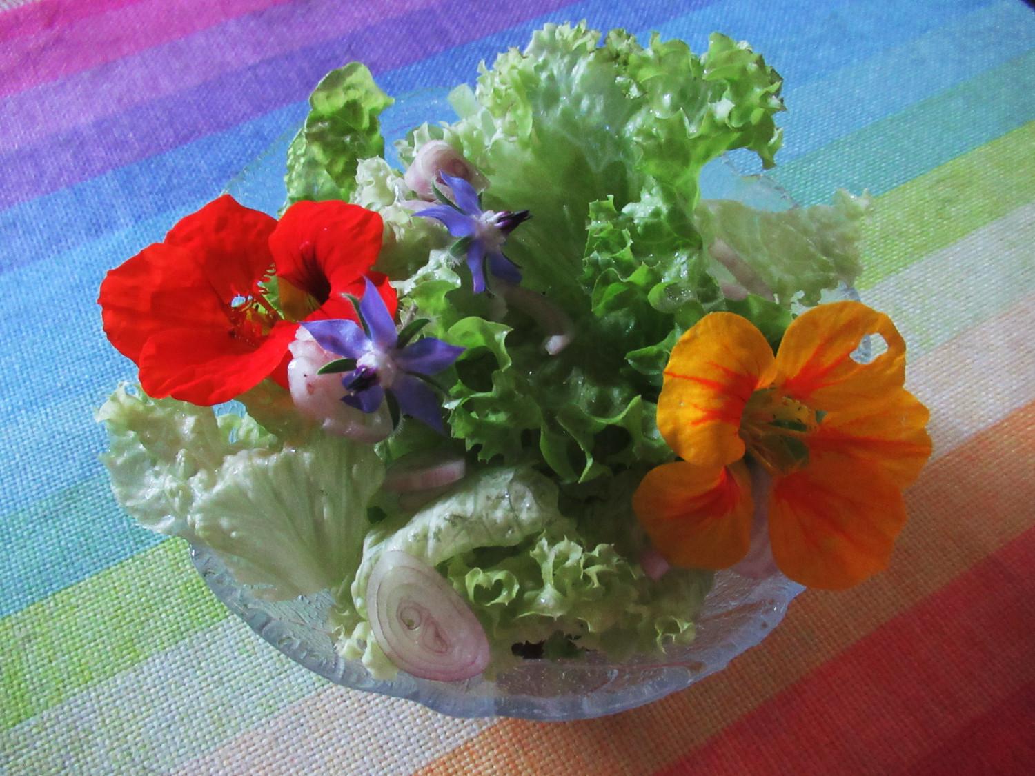 Ein kleines Schälchen mit Salat und Blüten von Kapuzinerkresse und Borretsch