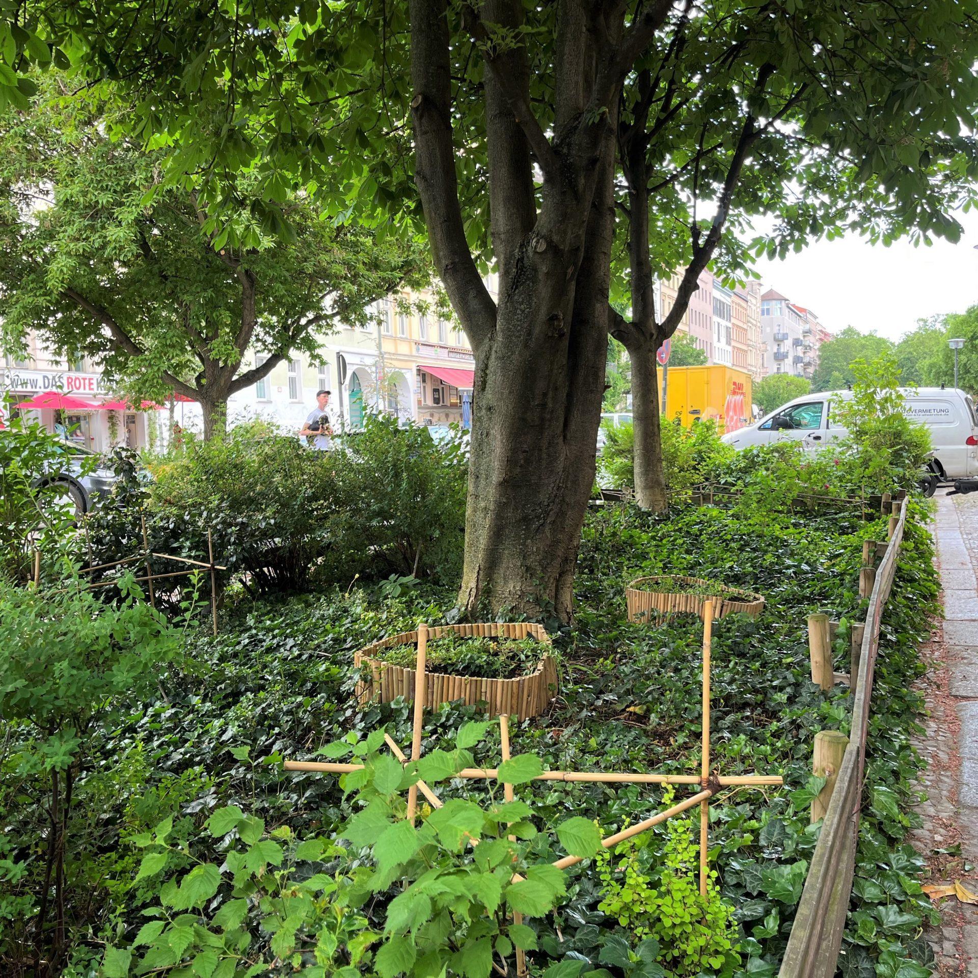 Foto einer dicht bepflanzten Grünfläche in der Stadt. Unter einem alten Baum wachsen verschiedene Pflanzen. Rechts ist ein Gehweg zu erkennen.
Quelle: https://www.klimaanpassung-selbstgemacht.de