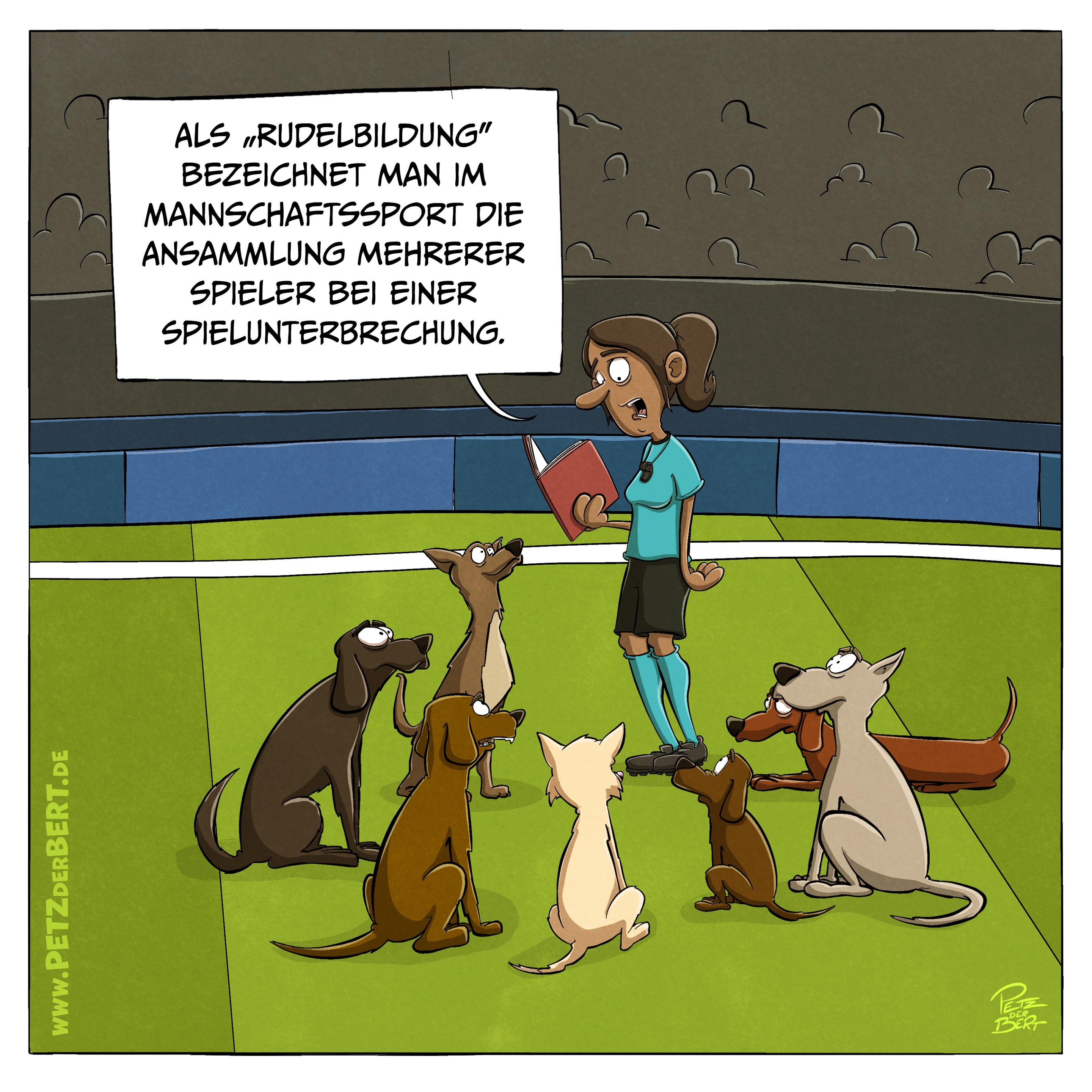 Cartoon: Eine Schiedsrichterin steht auf dem Fußballplatz, umringt von mehreren Hunden, die ihr aufmerksam zuhören. Sie liest aus einem Buch: „Als „Rudelbildung“ bezeichnet man im Mannschaftssport die Ansammlung mehrerer Spieler bei einer Spielunterbrechung.“