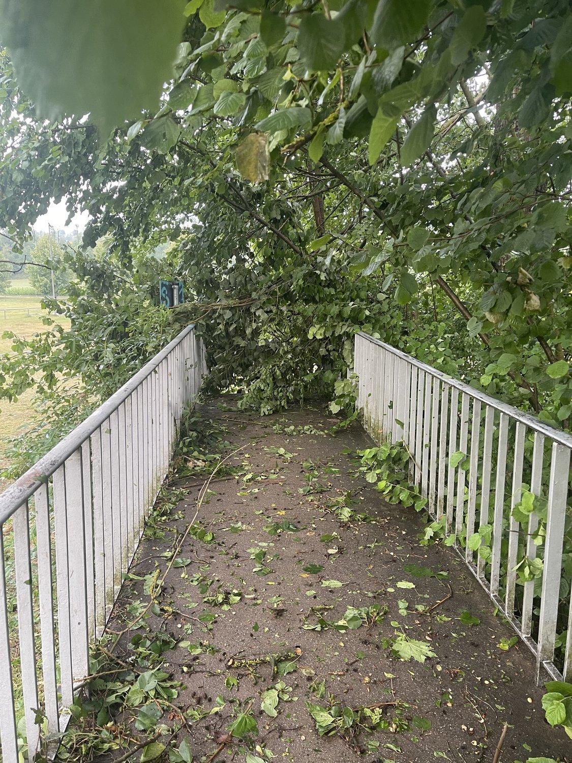 Fußgängerbrücke mit Metallgeländer, das Ende wird von heruntergewehten Ästen versperrt, überall liegen verwehte Blätter