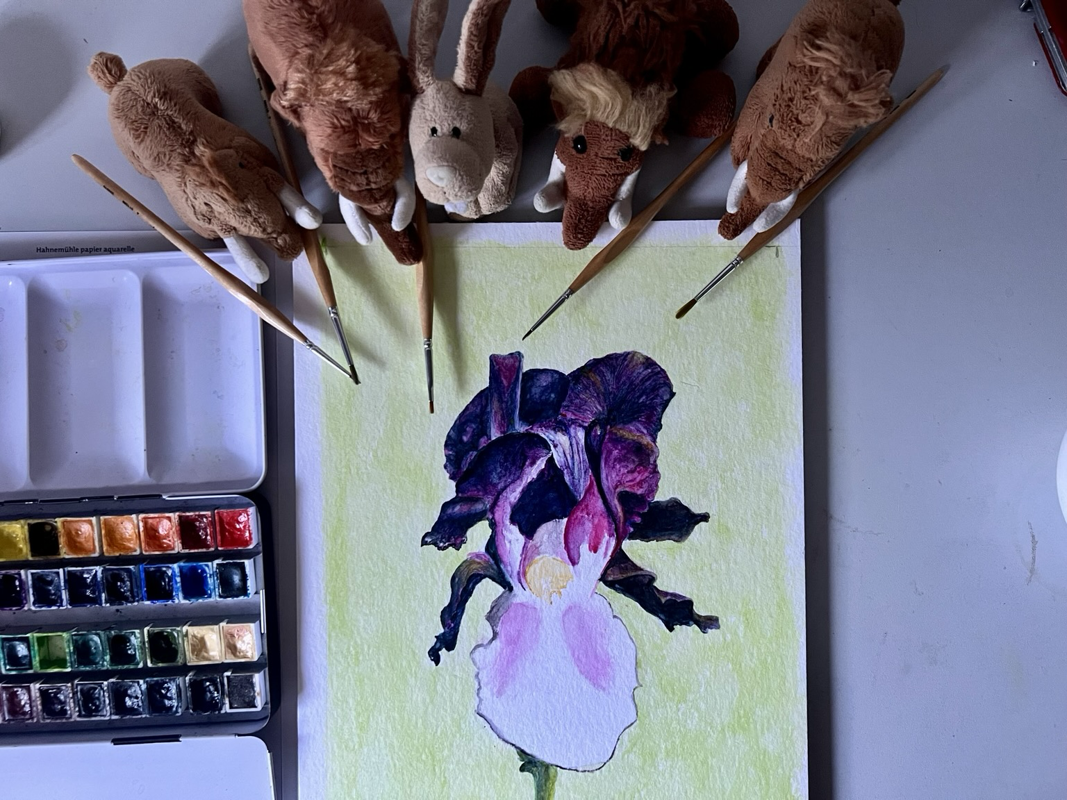 Die vier plüschigen Mammuts und Hopps mit Aquarellfarben, Pinsel und dem Bild. Motiv ist eine dunkle Blüte einer Iris