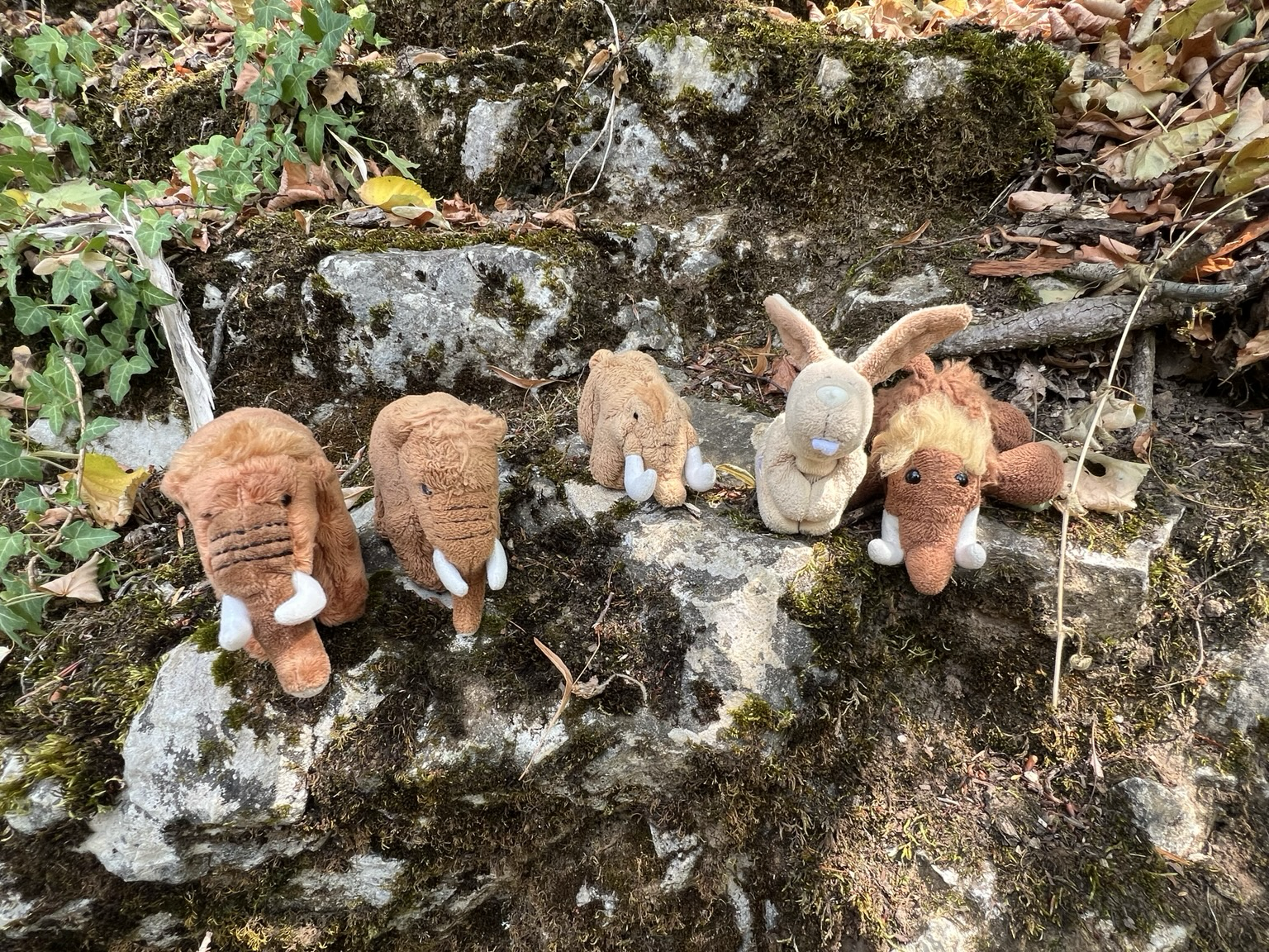 Die vier plüschigen Mammuts und Hopps auf Felsen