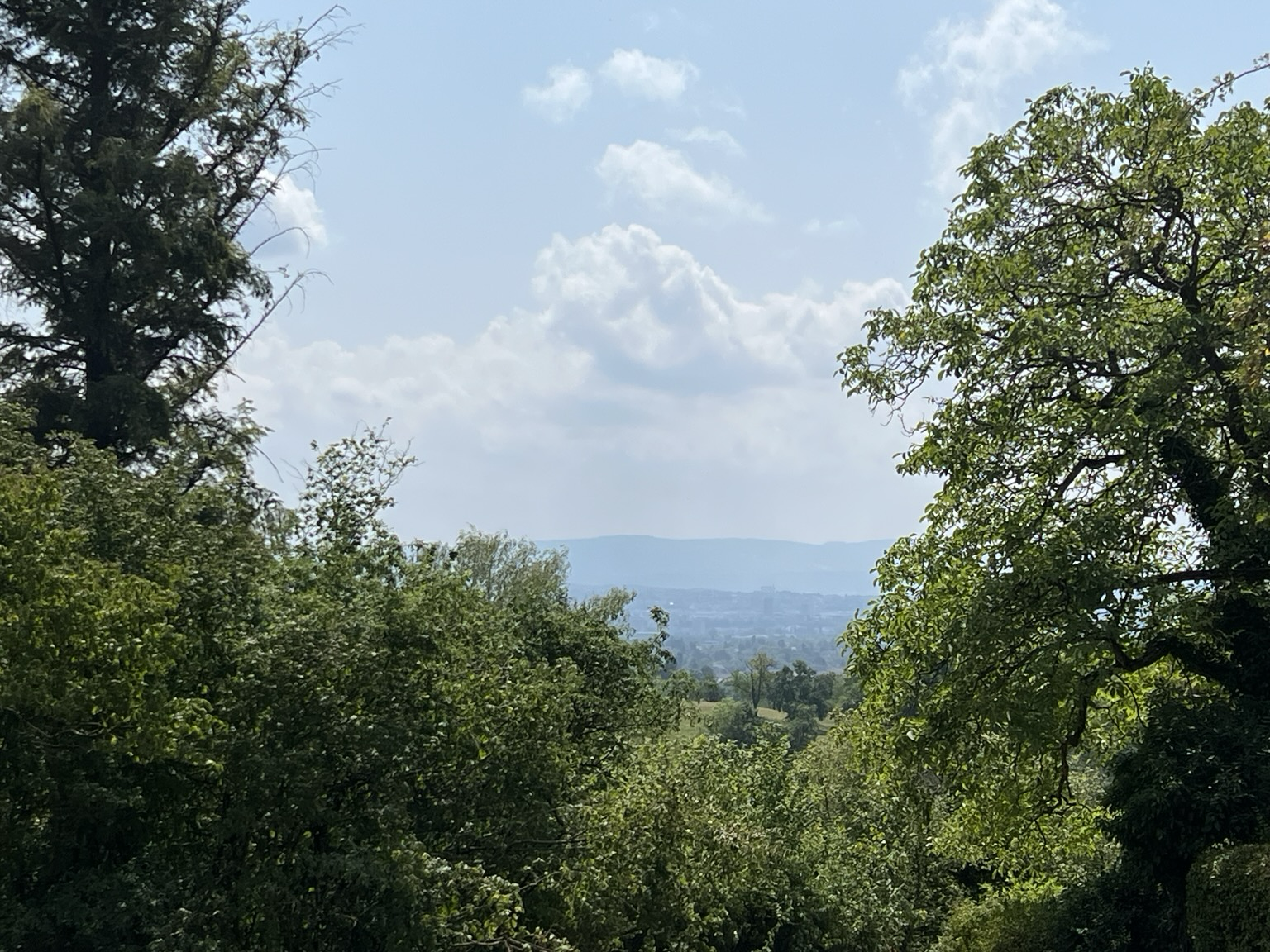 Blick durch Bäume auf Basel im Dunst
