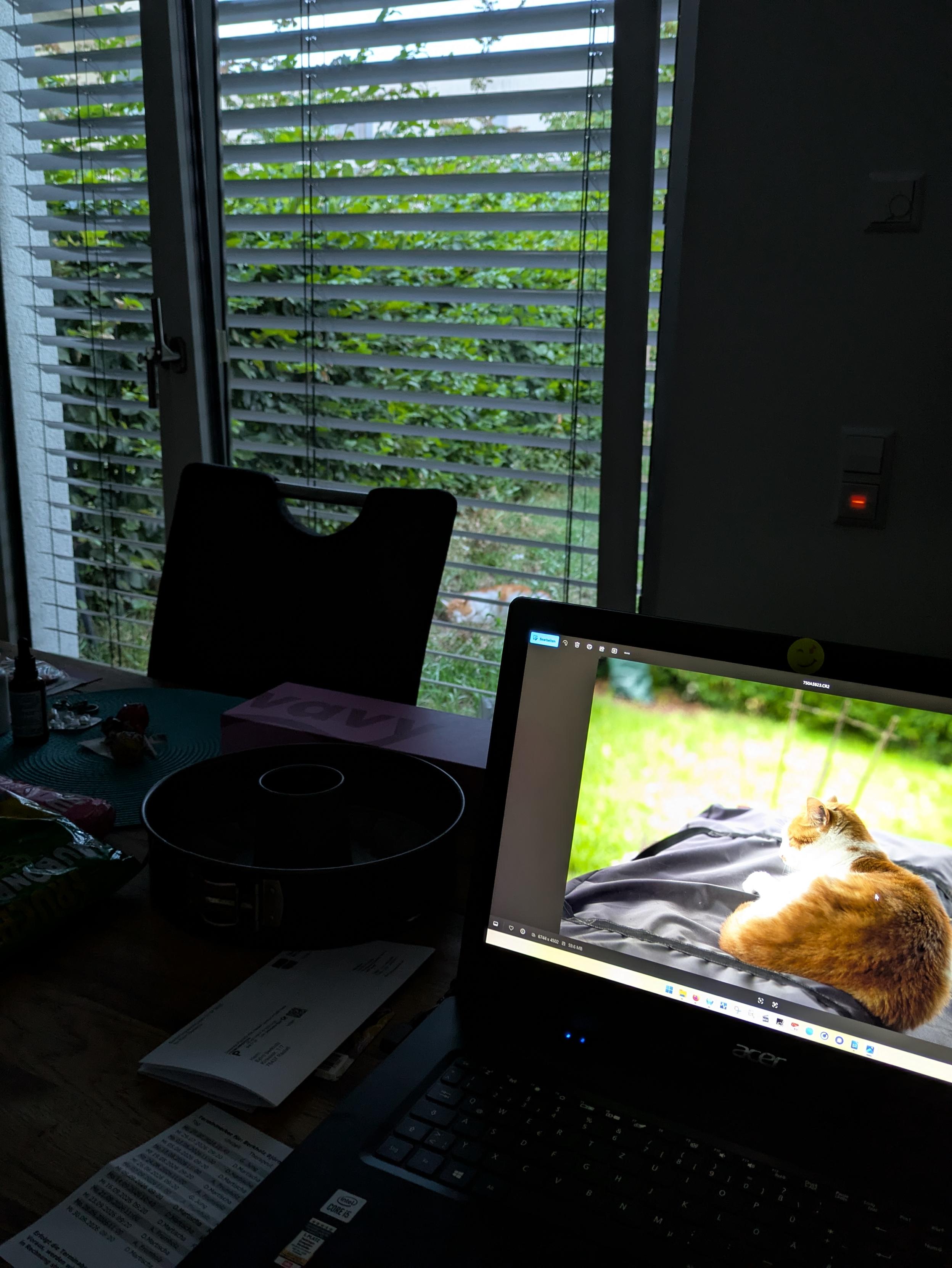 A picture. On a laptop is a picture of a cat lying in a meadow a few metres away

Ein Bild. Auf einen Laptop ist das Bild einer Katze, diese liegt auf einer Wiese wenige Meter entfernt
