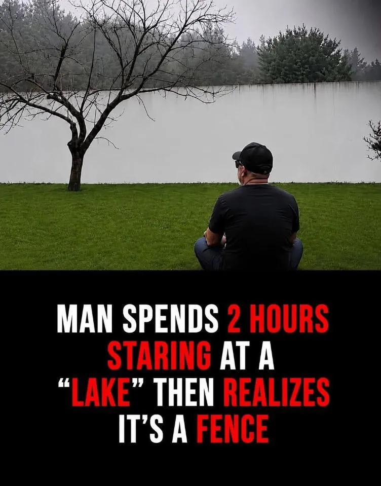 "Reality is merely an illusion, albeit a very persistent one." (Albert Einstein) This image is a popular internet meme depicting an optical illusion where a tall, white concrete wall appears to be a calm lake due to the fog and the position of the trees in the background.