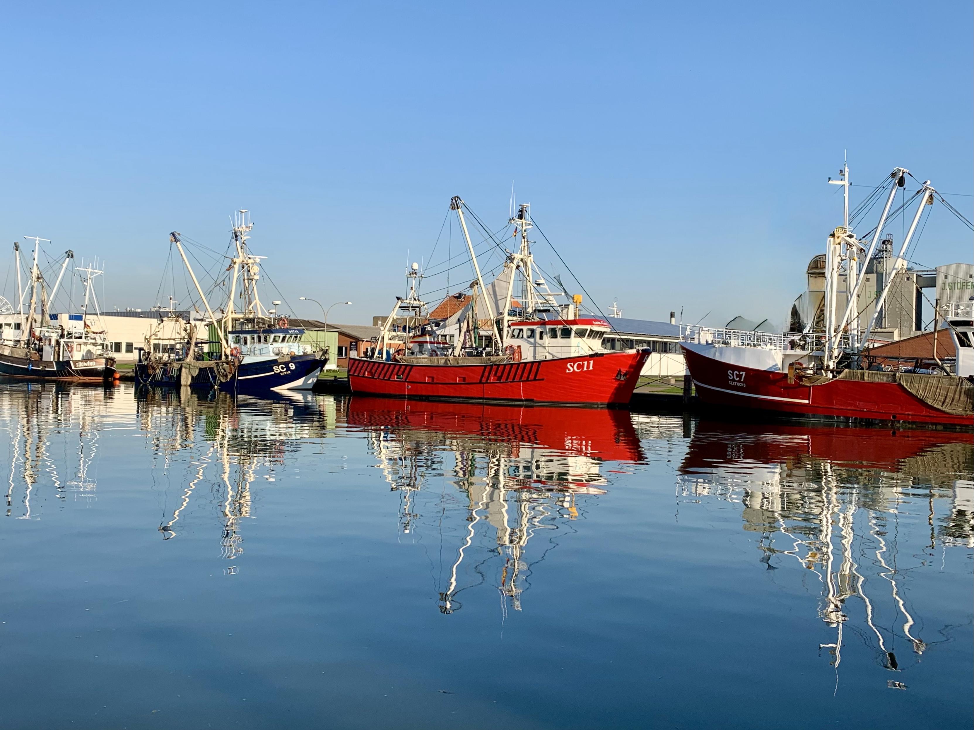 A view of fishing boats docked in a harbor, with their reflections visible in calm water. The boats are a mix of colors, including red and blue, under a clear blue sky. The background features buildings and structures typical of a port area.