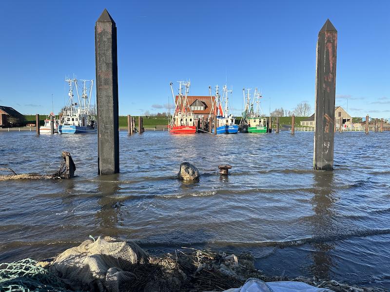 Das Foto zeigt den kleinen Hafen von Fedderwardersiel. Dort sind einige Kutter zu sehen.
