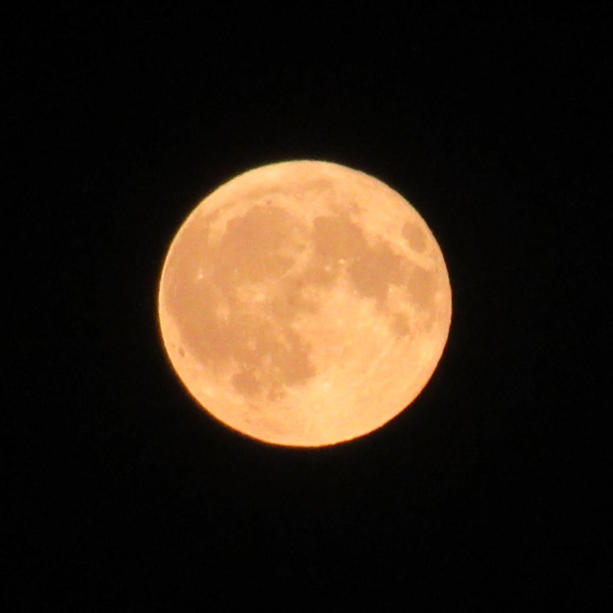 Gelb-oranger Vollmond am 29.07.2026