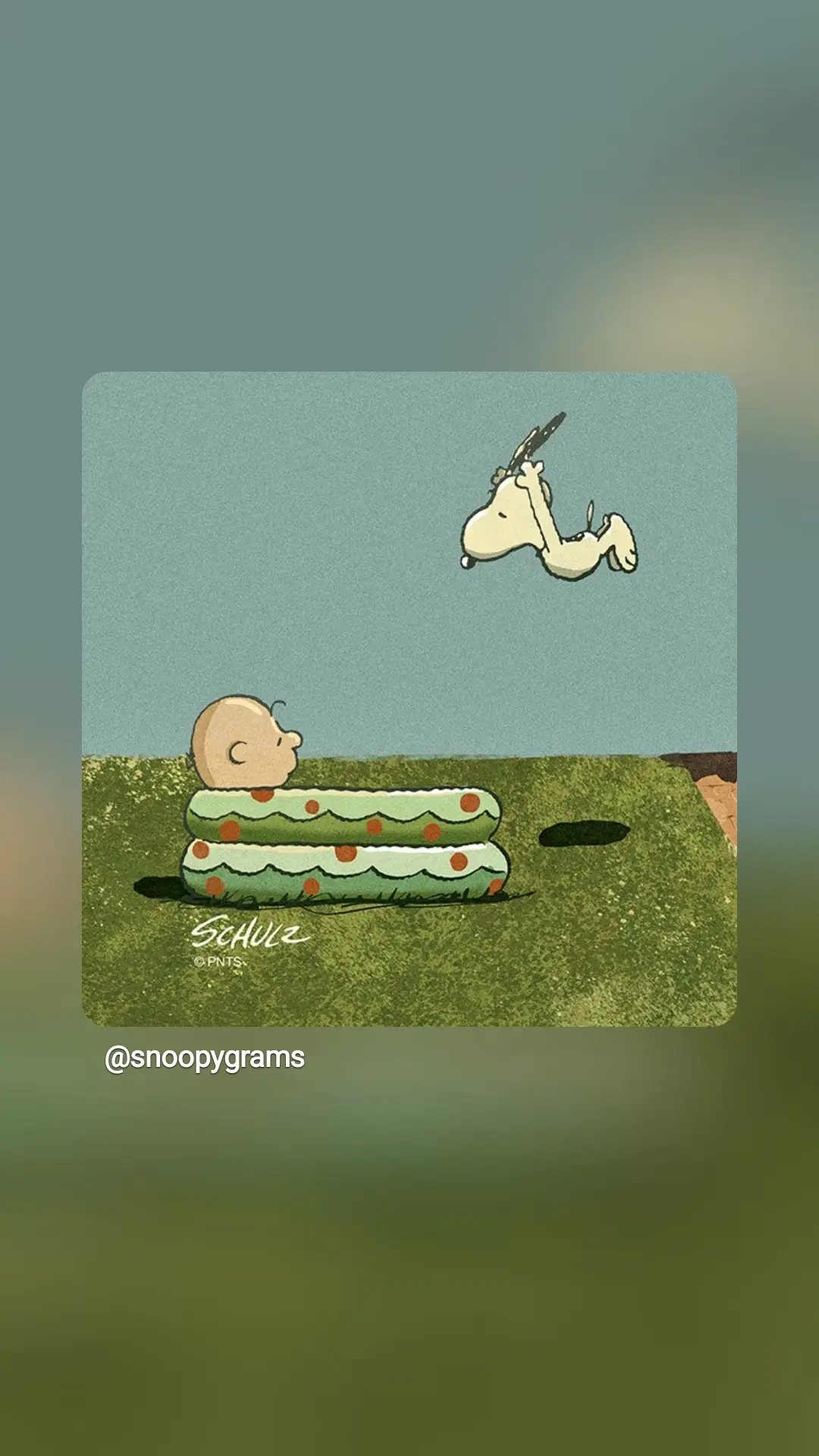 Snoopy springt mit Elan zu Charlie Brown ins Planschbecken