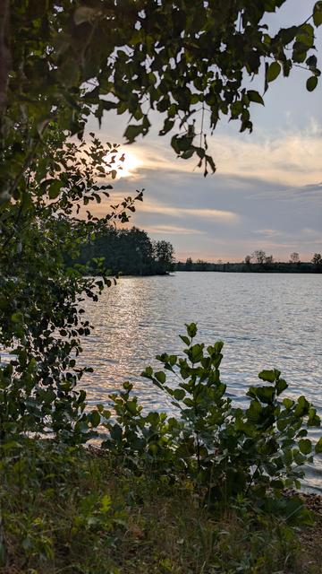Abendstimmung am See mit Reflexion der Sonne im Wasser, die durch Wolken blinzelt. Im Vordergrund eine Schwarzerle, deren Äste ins Bild ragen,. 