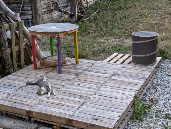 eine weißgetigerte Katze liegt vollkommen gestreckt und entspannt auf einer Holzterrasse. Ein runder Tisch steht im Eck