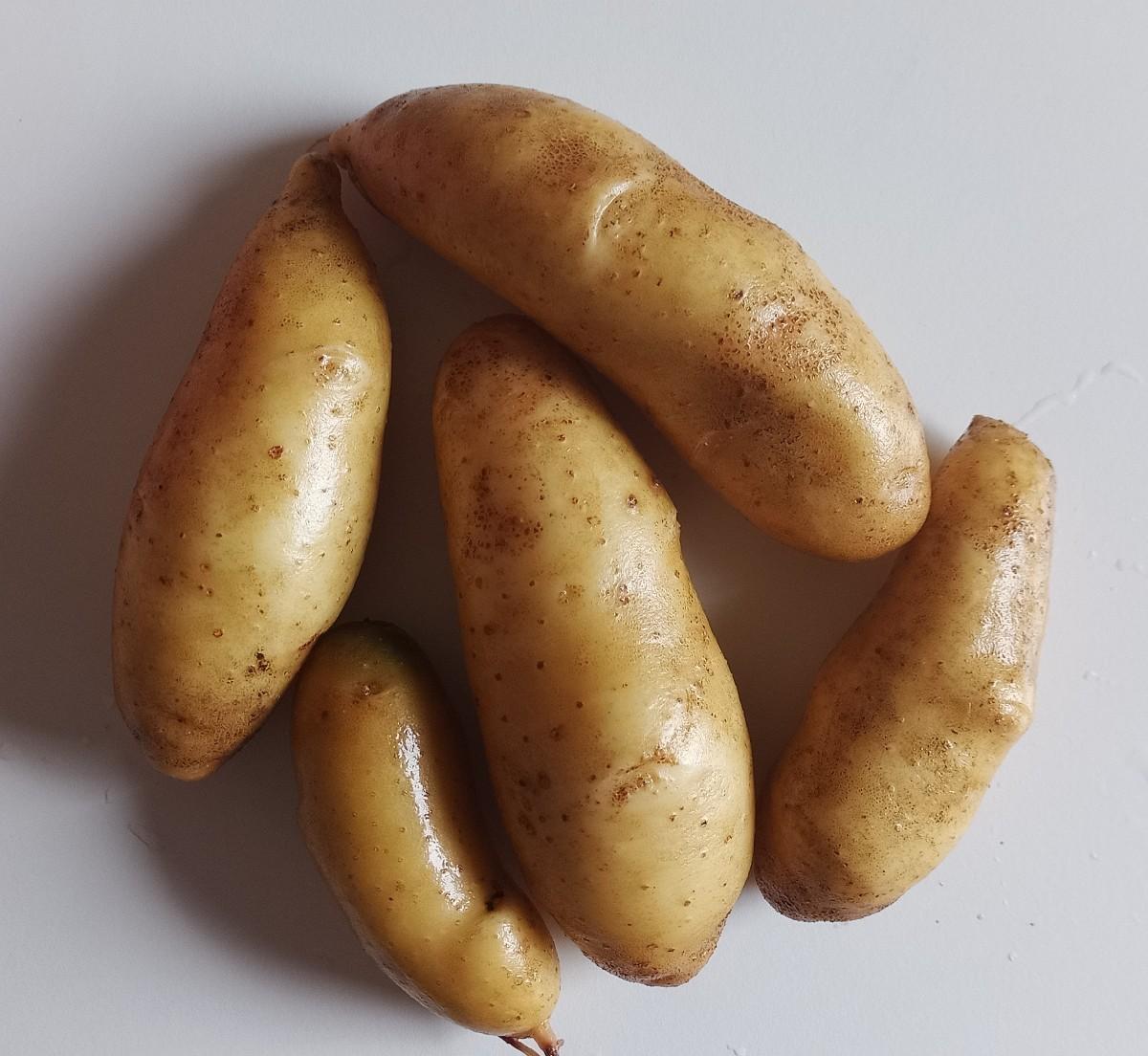 5 Stück Kerkauer Kipfler Kartoffen mittlerer Größe.