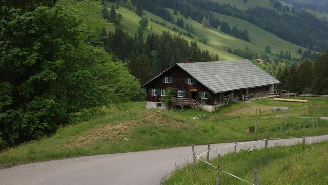 Almhütte auf einer Wieseim Grünen, dahinter Berghänge mit zum Teil offene Weiden, aber auch mit Baumbestand. 

Vor der Hütte ein geteerter Wirtschaftsweg und die Zufahrt zur Hütte. Sie hat an der Stirnseite sechs Fenster mit dunkelgünen Fensterläden und sind in Viertel unterteil. Das Dach der Hütte ist mit grauem Metall gedeckt.
