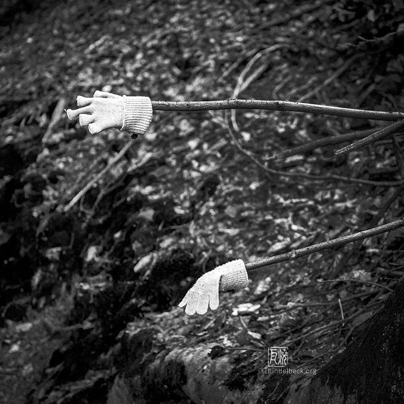 Schwarzweißfoto: zwei helle Kinderhandschuhe, aufgespießt auf Stöcken im Wald. Schindelbeck Fotorafie