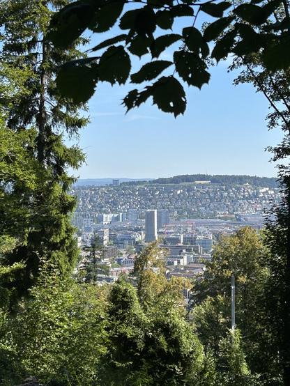 Blick von der Flanke des Üetlibergs Richtung Chäferberg. Man sieht Hochhäuser, Höngg und die ETH Hönggerberg. Der Himmel ist leicht diesig.