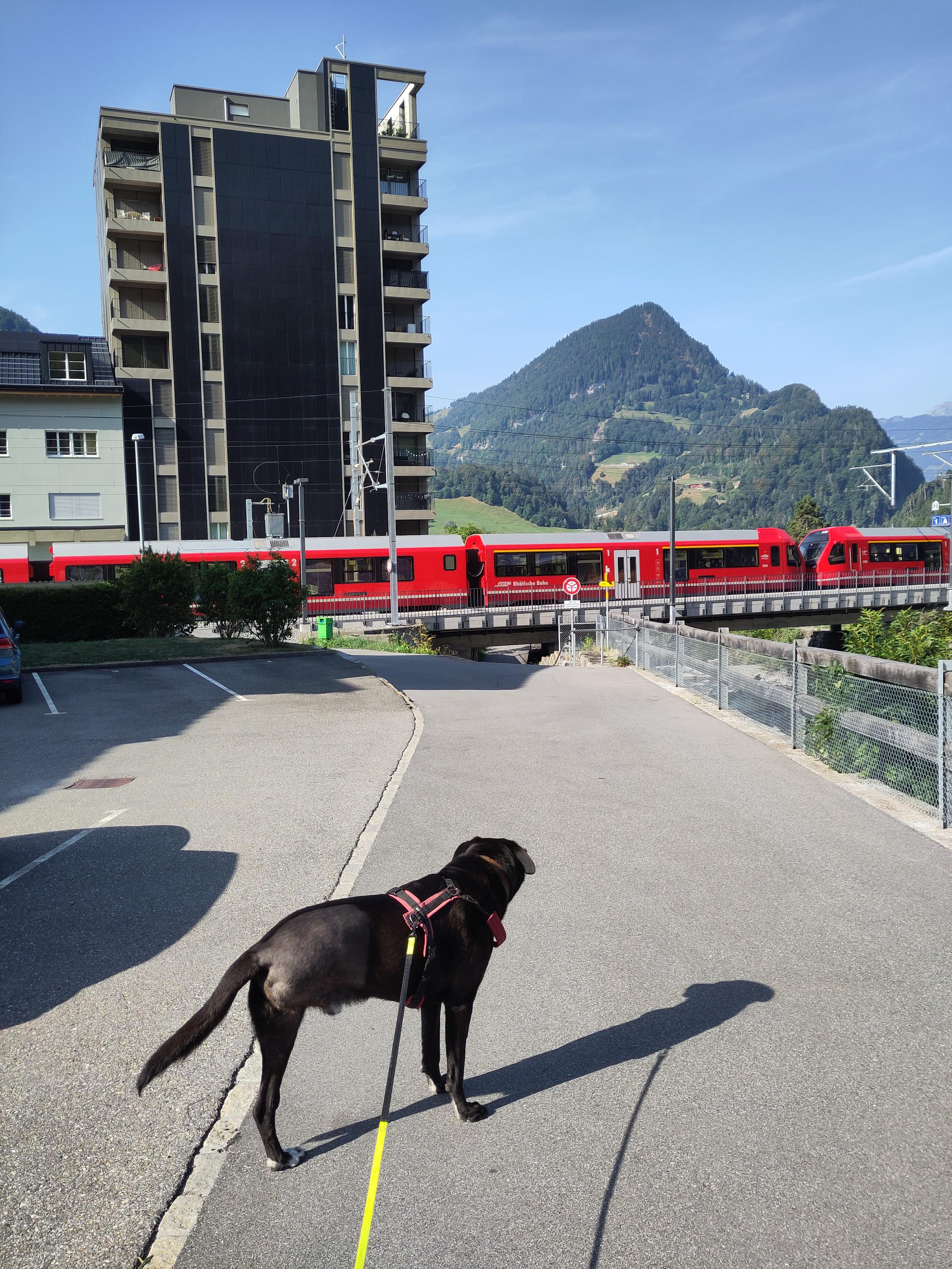 Foto. Ein roter Zug in Berglandschaft, dahinter ein Gebäude mit Solarfassade, im Vordergrund ein dreibeiniger Hund.