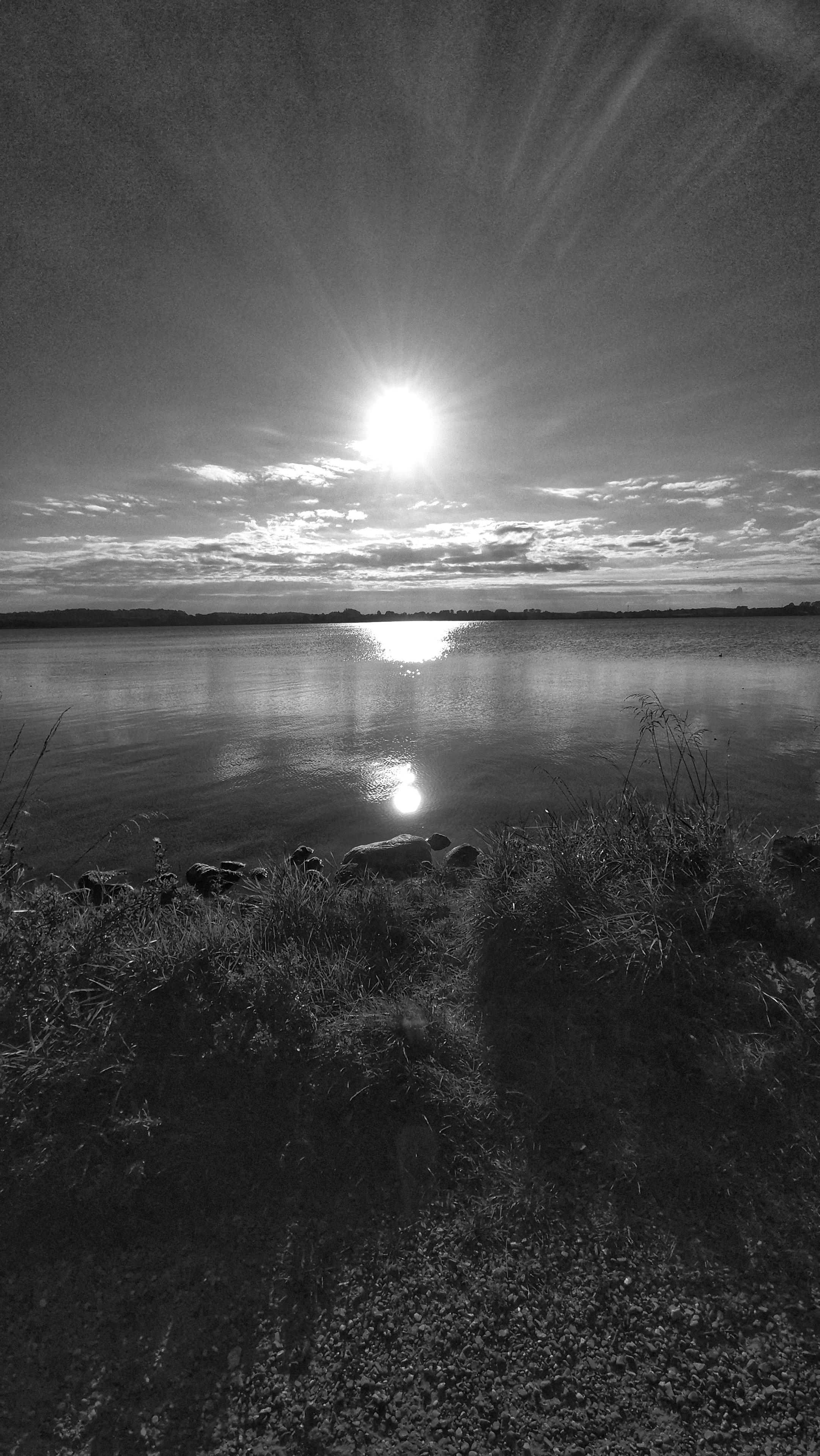 Die schwarz-weiße Fotografie zeigt eine ruhige Landschaftsaufnahme mit einem Gewässer im Zentrum. In der Bildmitte steht die helle Sonne nahe dem Horizont und wirft einen deutlichen Lichtreflex auf die Wasseroberfläche. Der Vordergrund wird von einem bewachsenen Uferbereich eingenommen, während sich im Hintergrund eine dunkle Landlinie unter einem leicht bewölkten Himmel abzeichnet. Die monochrome Darstellung erzeugt hohe Kontraste zwischen den hellen Himmelsbereichen und den dunklen Schatten im unteren Bildteil. Das Foto ist rechteckig und steht hochkant.