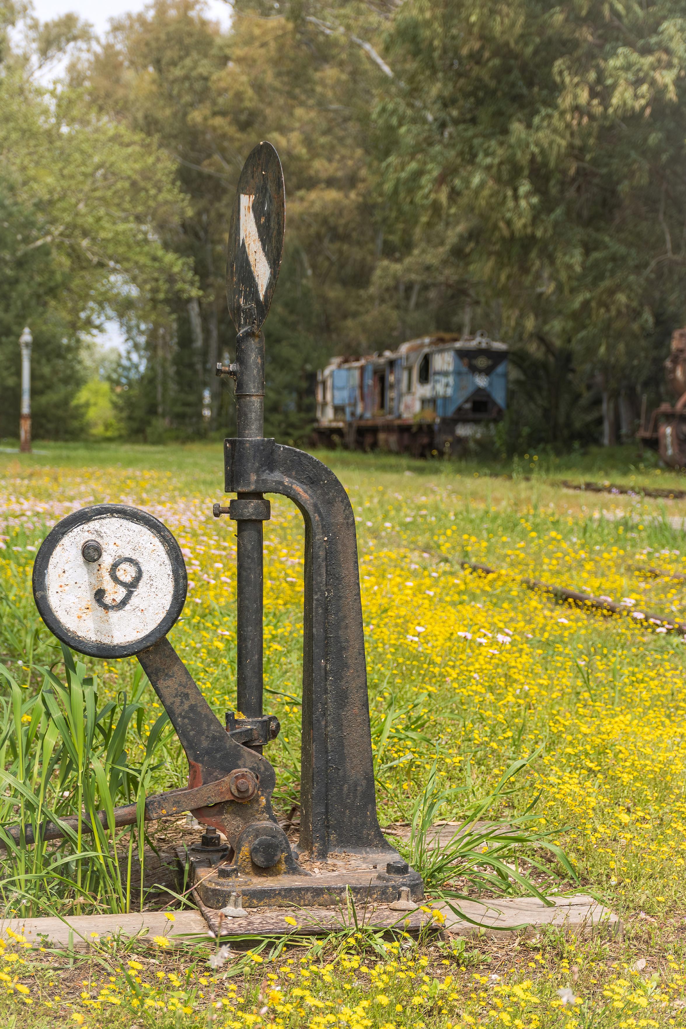 Das Foto zeigt eine alte Eisenbahnsignalvorrichtung mit der Zahl 9, die inmitten eines Feldes voller gelber Blumen steht. Im Hintergrund sind die Überreste eines verlassenen Zugs zu sehen, der von Bäumen und Vegetation umgeben ist. Die Szene strahlt ein Gefühl von Verfall und Vergänglichkeit aus, aber auch von der Schönheit der Natur, die sich ihren Raum zurückerobert. Die verwitterte Signalvorrichtung und der rostige Zug deuten auf eine vergangene Ära des Transports und der Industrie hin, die nun von der Zeit und der Natur überwuchert wird. Die leuchtenden gelben Blumen bilden einen starken Kontrast zur düsteren Atmosphäre der verlassenen Maschinen und verleihen dem Bild eine unerwartete Note von Lebendigkeit und Hoffnung. Es ist eine eindringliche Darstellung des Kreislaufs von Leben, Verfall und Erneuerung.