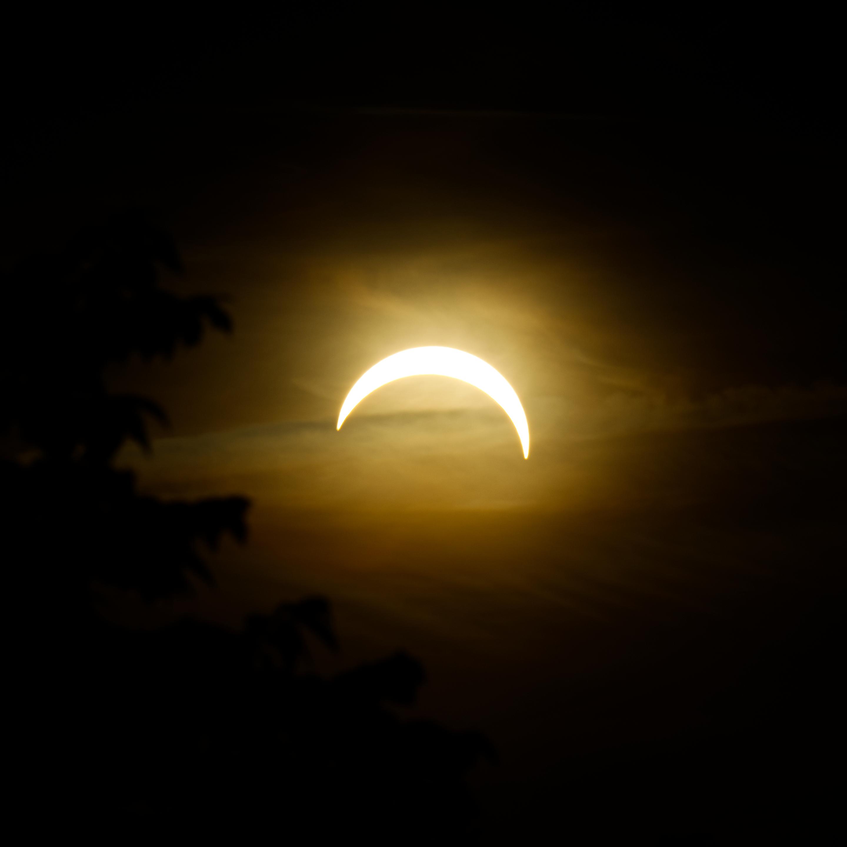 Das Bild zeigt eine sichelförmige Sonne. Die Rundung weist nach oben. Eine dünne Wolkenschicht ist zu erkennen. Links im Bild die Sihouette eines Baums.
