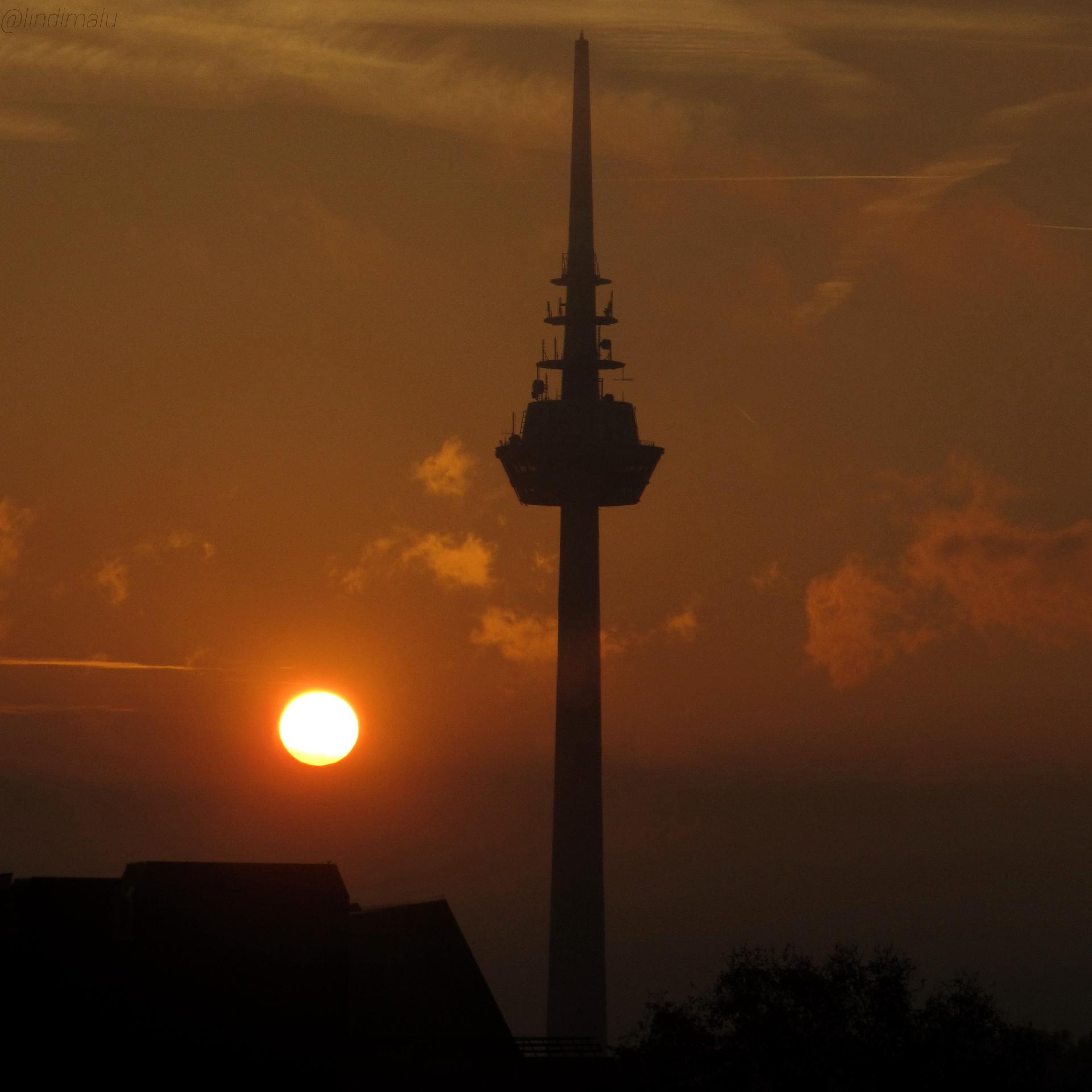 Der Mannheimer Fernsehturm als Silhouette vor einem orangefarbenen Himmel, über dem die helle Sonne steht.
