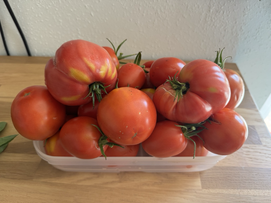 Posted media