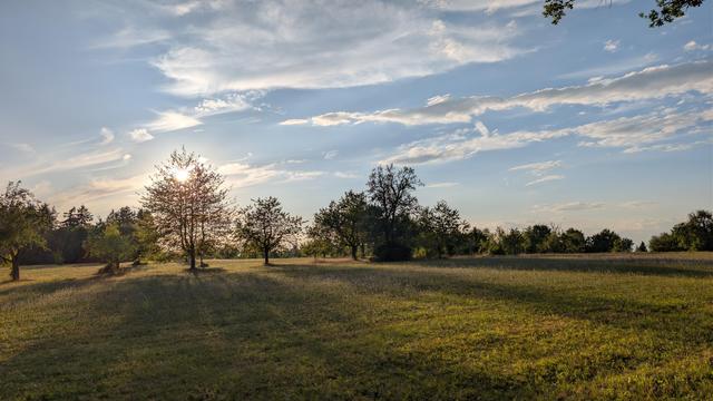 Gegenlicht, Sonne steht rund und hell in einer Baumkrone. Vereinzelt Bäume auf einer Streuobstwiesen, die lange Schatten in der tiefstehenden Sonne werfen . Darüber blauer Himmel mit angeleuchteten Wolken.