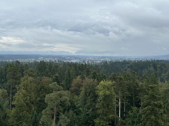 Blick Richtung Alpen, rechts der Greifensee