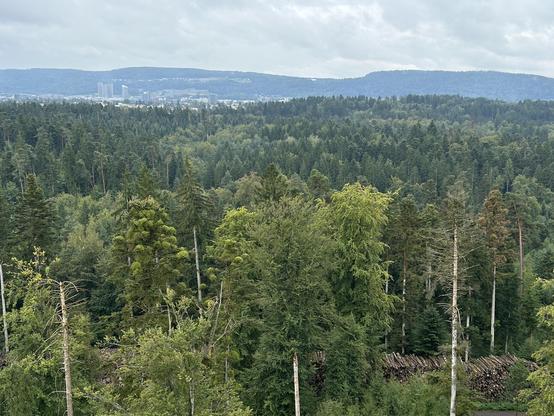 Blick Richtung Stettbach, links hinten die Hochhäuser von Dübendorf