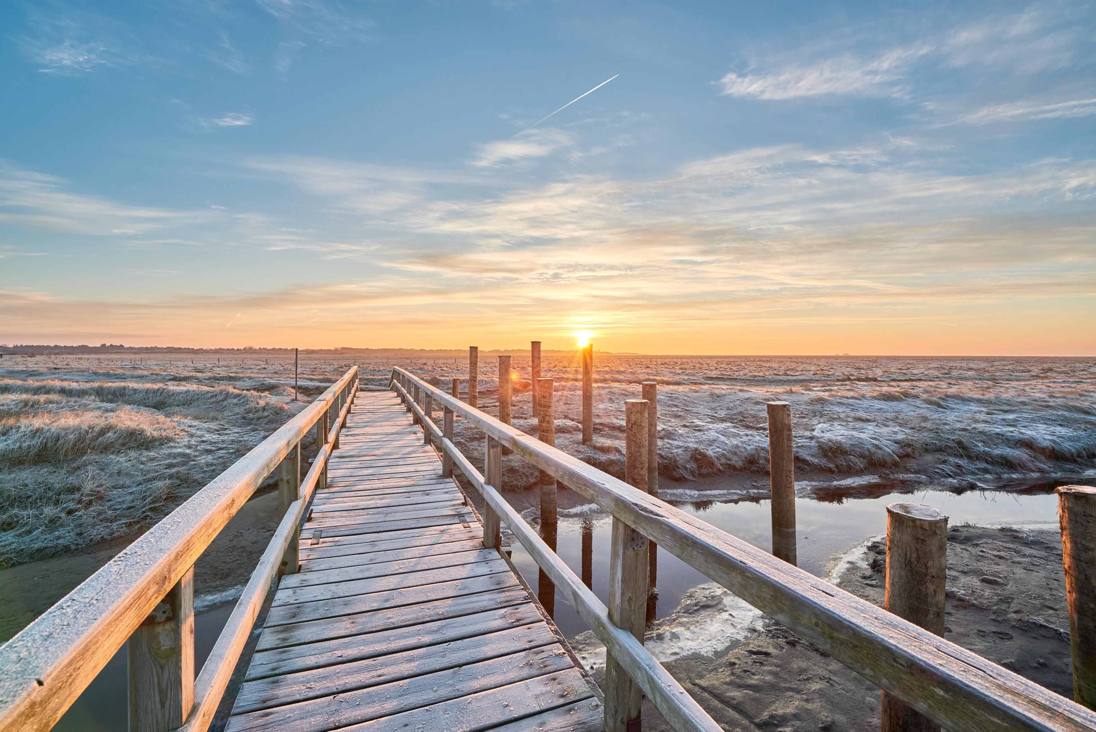 Eine stimmungsvolle Perspektive auf die winterliche Küstenlandschaft von Sankt Peter-Ording bei Sonnenaufgang. Ein hölzerner Fußgängersteg mit Geländer verläuft von der linken unteren Bildmitte diagonal nach rechts oben durch die raureifbedeckten Salzwiesen. Die Dielen und Holzpfähle schimmern im Frost. Rechts und links des Stegs verläuft ein kleiner Priel. Am flachen Horizont geht die Sonne als leuchtender Mittelpunkt auf und taucht den blau-orangen Himmel sowie die frostige Landschaft in ein warmes Morgenlicht.