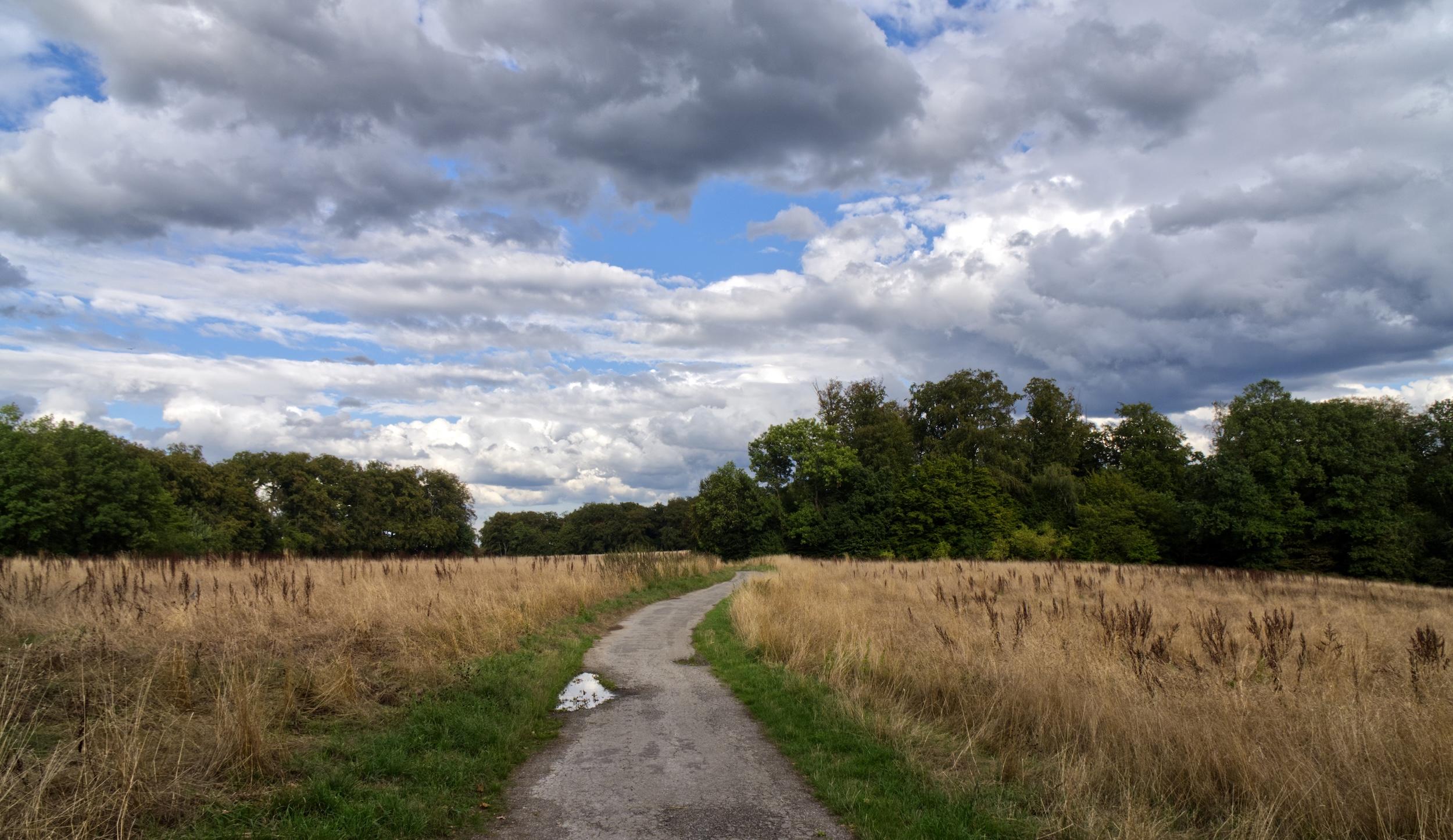 Farbfoto einer Wiese, in der Mitte verläuft ein Weg, im Hintergrund ist ein Wald zu sehen. Das Gras ist größtenteils noch braun verfärbt, nur am Wegesrand ist es schon wieder grüner. Am Himmel sind Wolkenformationen zu sehen, weniger dramatisch als auf der Schwarzweiß Aufnahme.