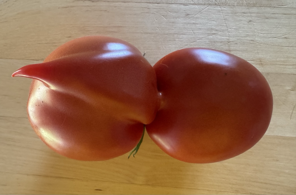 Posted media