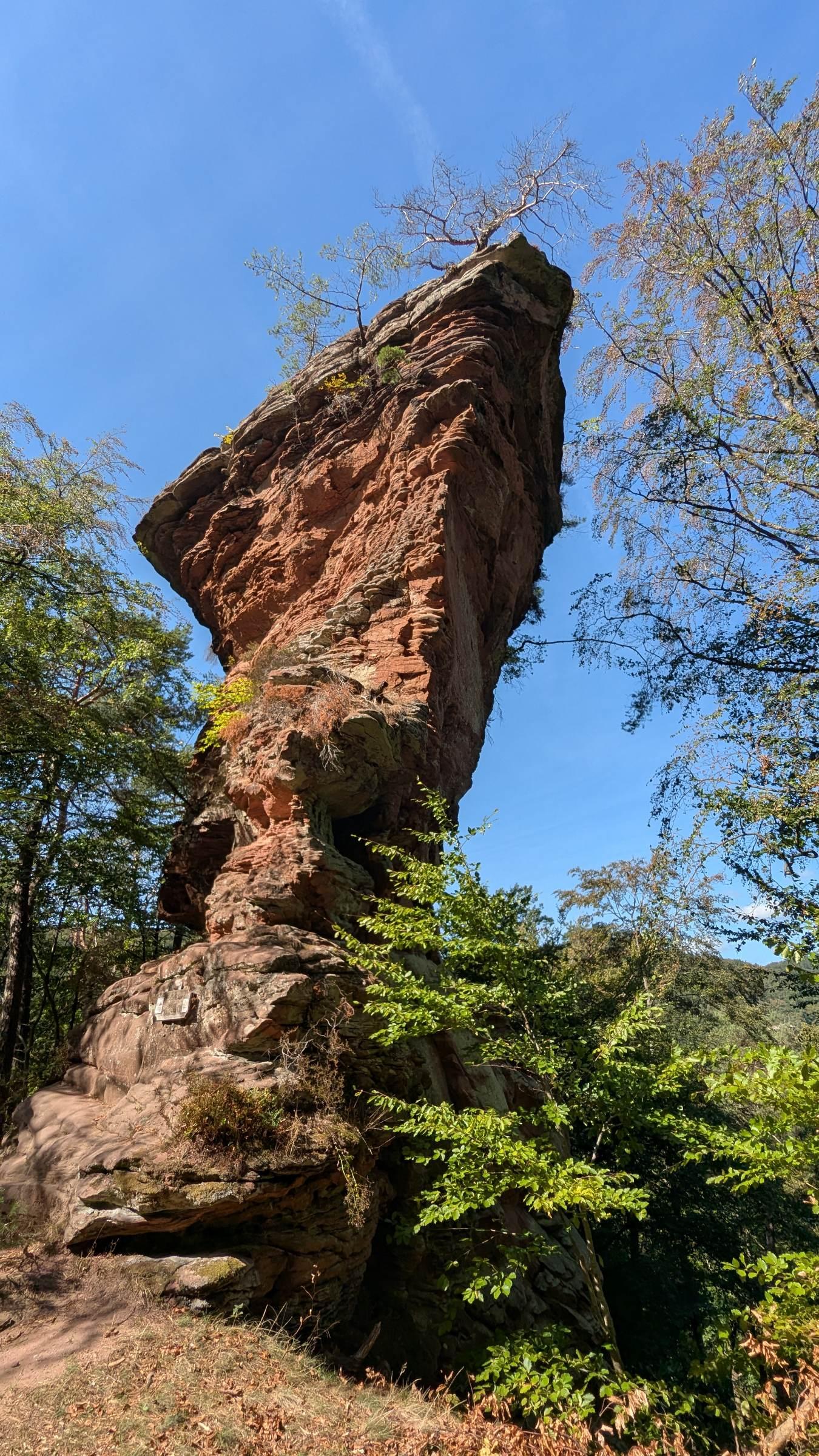 Roter schräg stehender Sandsteinfelsen. Umringt von Bäumen vor herrlich blauem Himmel.
