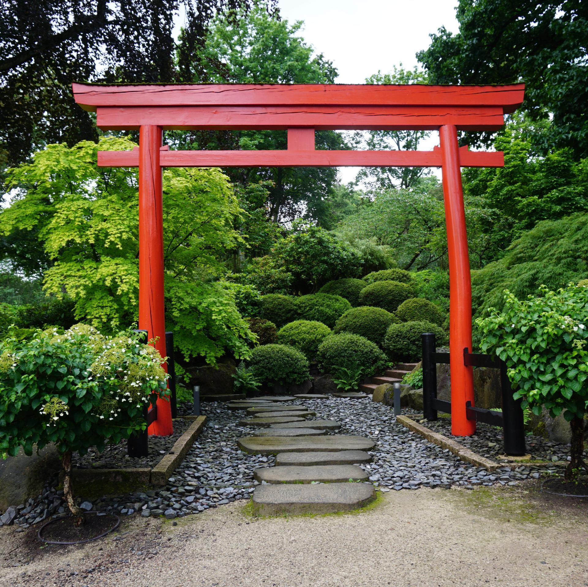 Ein rotes, japanisches Tor überspannt einen grauen Weg, welcher dahinter durch verschieden formige, grüne Büsche führt.